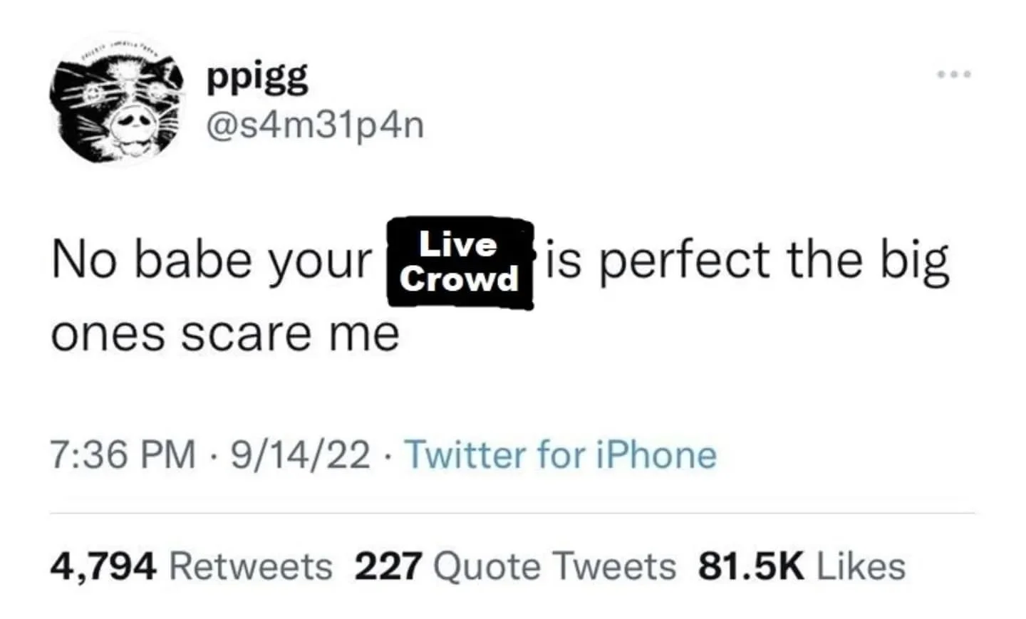 Young gentleman Mathew has deserted us for a holiday but the memes stay flowing. 
More short form content on the way! 
#crowd #meme #bandmemes #djmemes