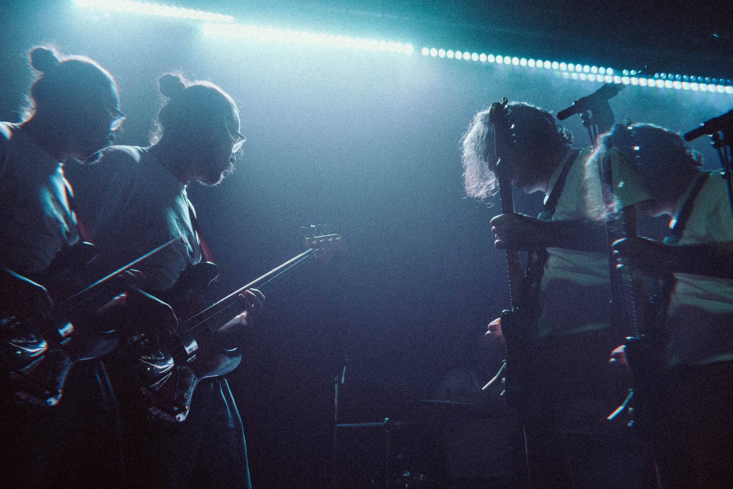 MVS-Catfish (5 of 63).jpg
