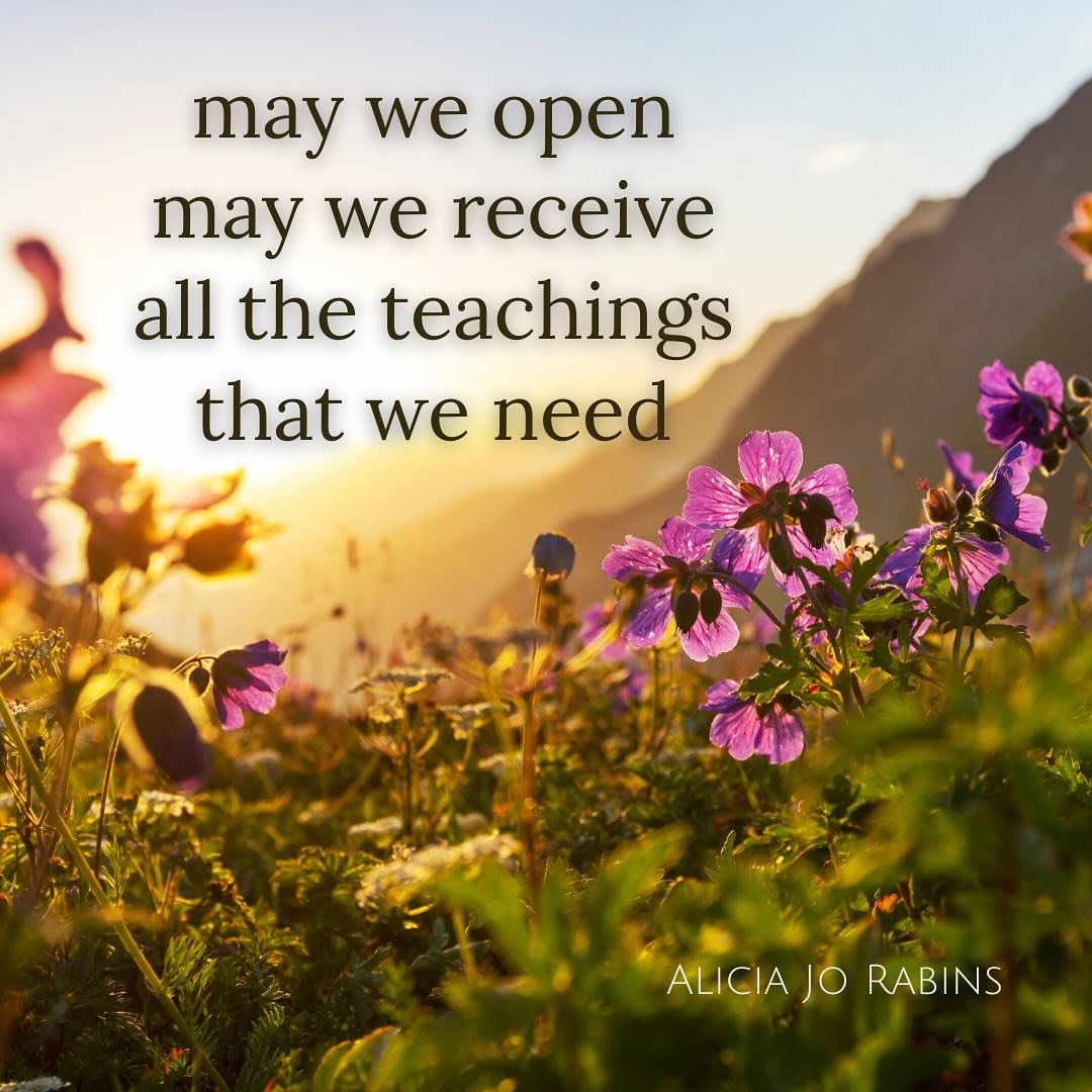 Thank you Alicia Jo Rabins for this beautiful Shavuot meditation as we prepare to walk into Shavuot this week and receive the Torah anew. 

And thank you to Rachel Kann for the gorgeously ancient Moroccan Jewish melody for Shavuot expressing gratitud