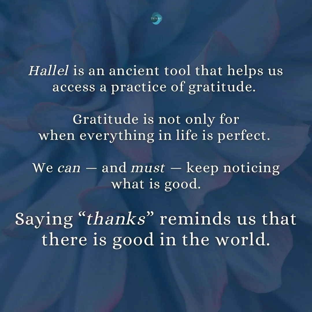 What is one thing &mdash; one small thing &mdash; you are grateful for?

#gratitude 
#grateful 
#thanks 
#hallel