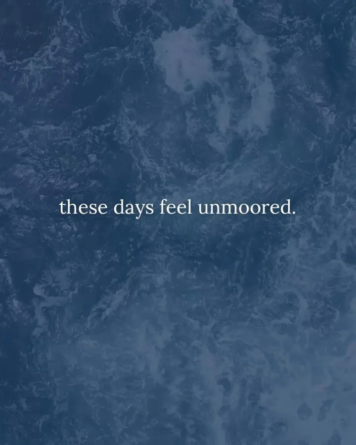Gift yourself 30 minutes.
That&rsquo;s all it will take to begin to cultivate a practice of resilience. 

In these days that feel so turbulent; let&rsquo;s find an anchor. 

svivah.org/gatherings

Mondays at 12pm ET 🔹 9am PT