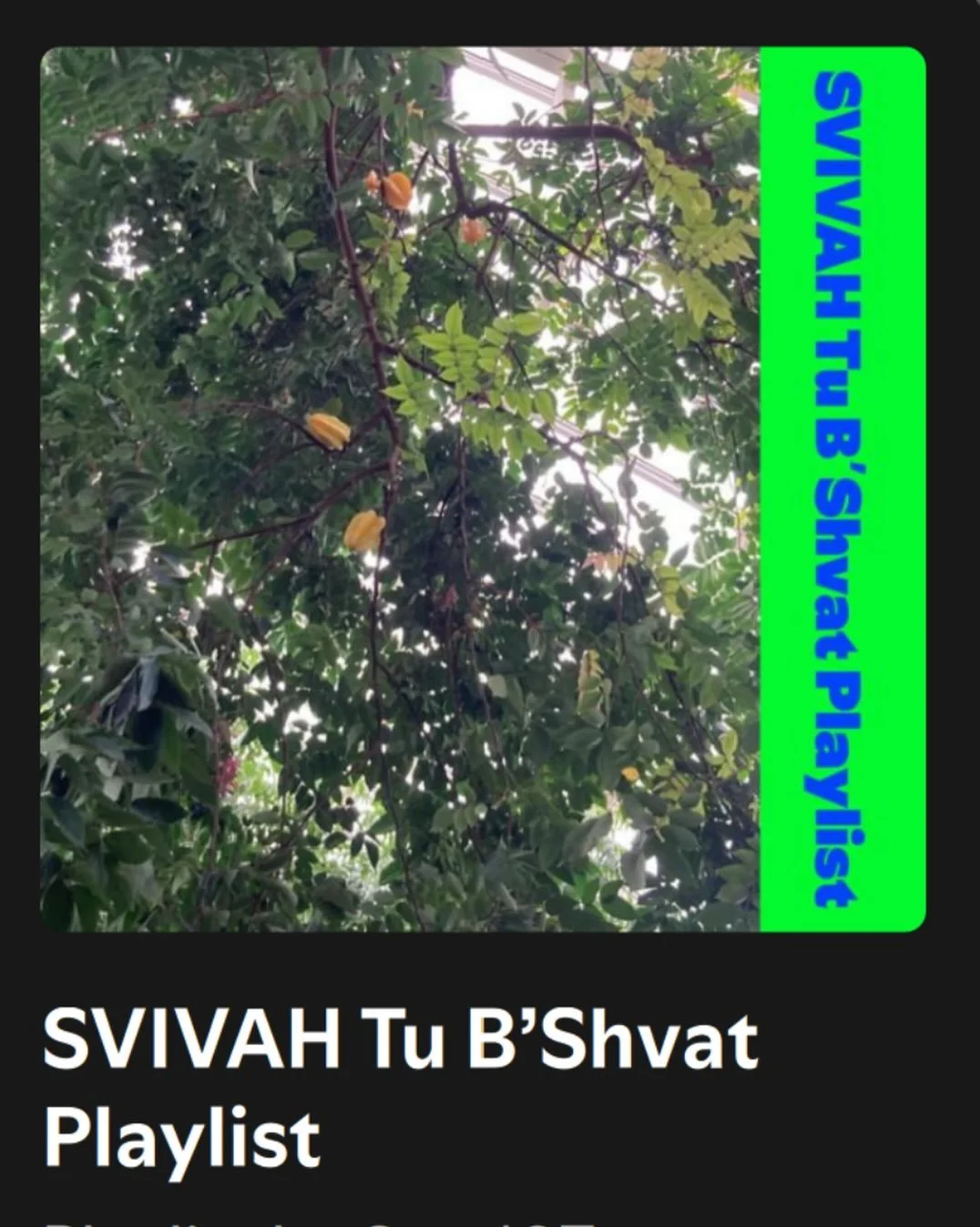 A beautiful Tu B&rsquo;Shvat musical playlist from Rabbanit Dalia Davis!
🍃Enjoy!🍃
Link in stories!!