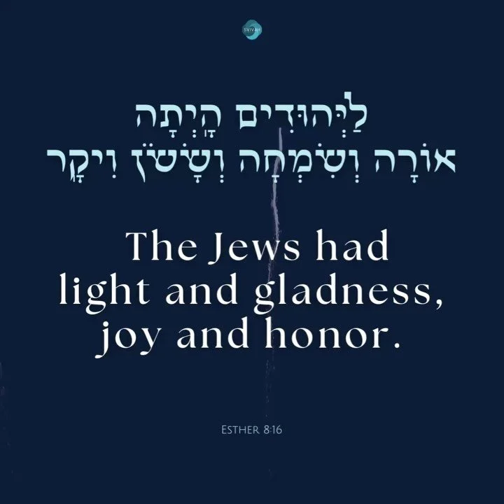 &ldquo;Light and gladness, joy and honor.&rdquo; We recite this verse as a reminder? As a blessing? As a hope? each week as part of the Havdalah.

The origin of the verse is in the Book of Esther.  After a story of intense danger and fear... the chap