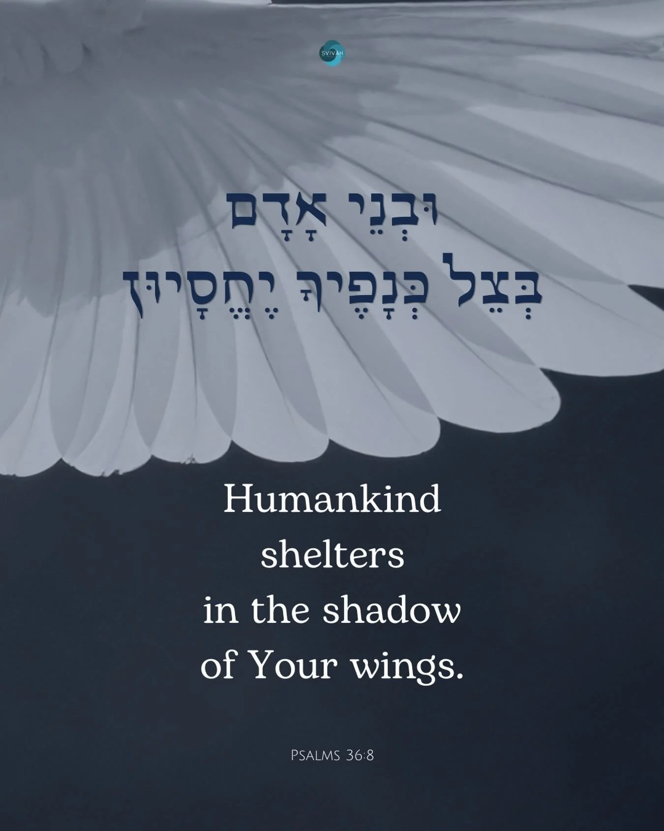We are watching. 
We are praying. 
We have not stopped for a moment. 

We will not stop until there is quiet. Until there is peace. Until everyone can turn a smiling face up toward the sun.