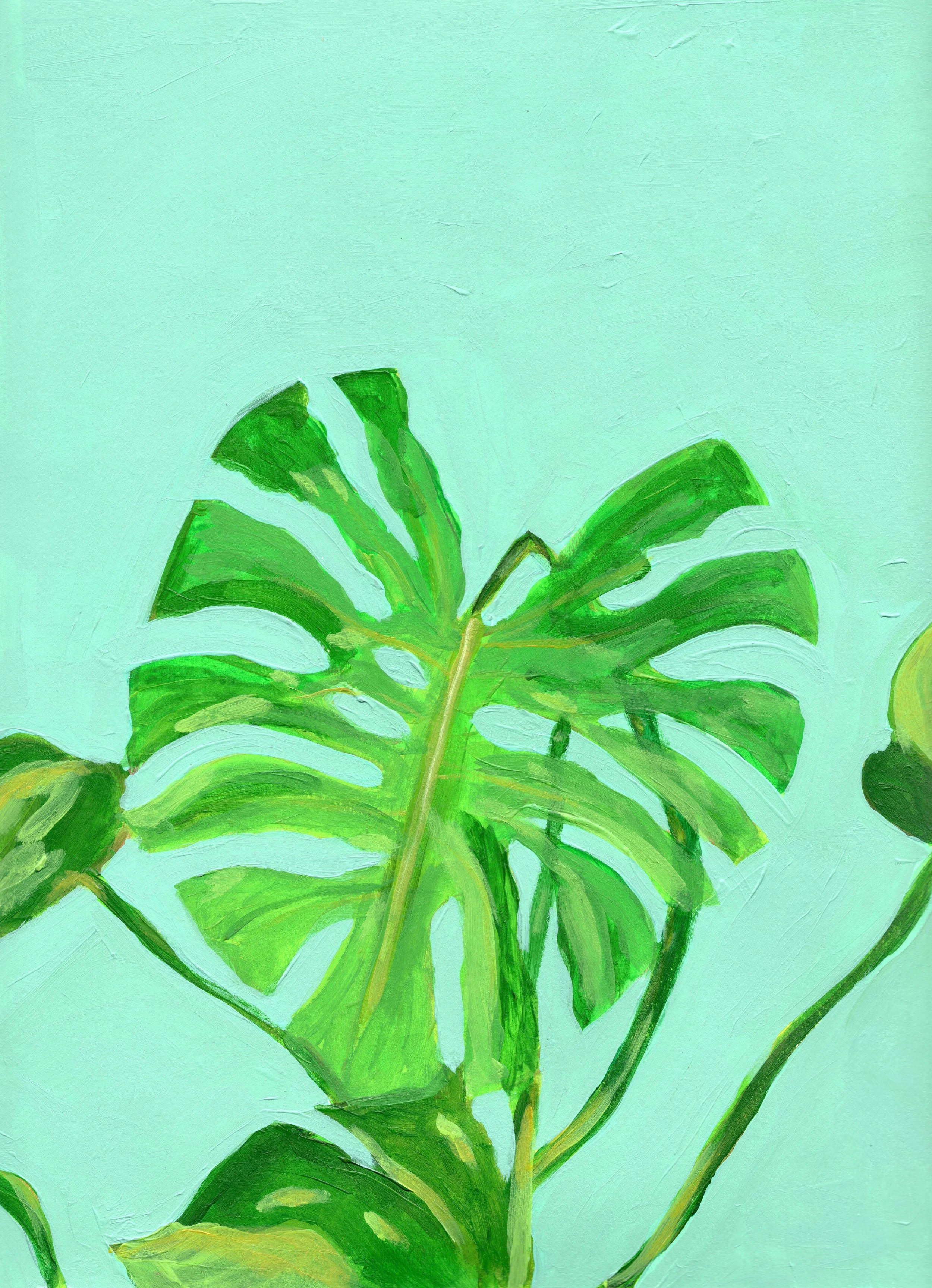 Monstera Study No. 1.jpg
