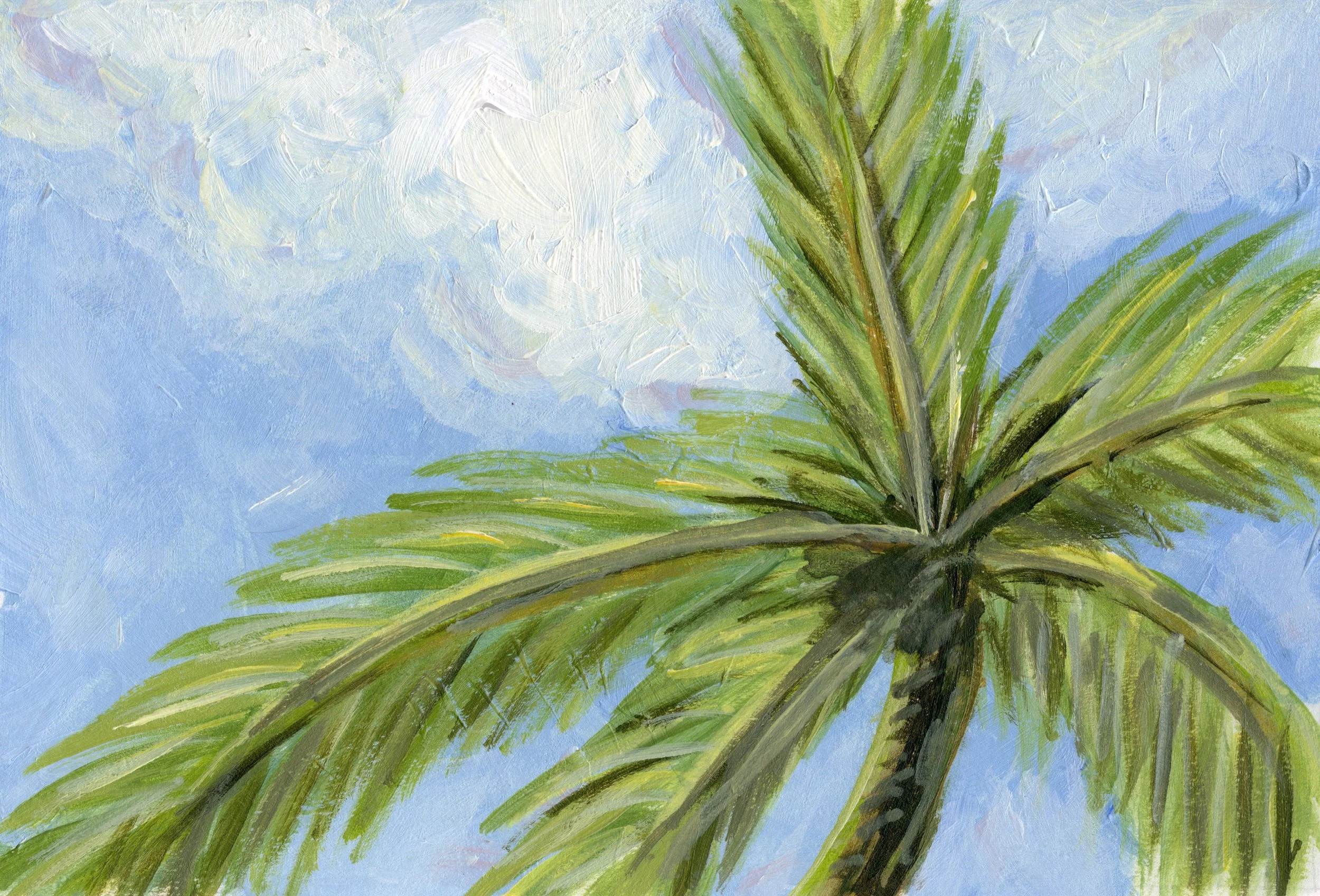 Palm in the Sky.jpg