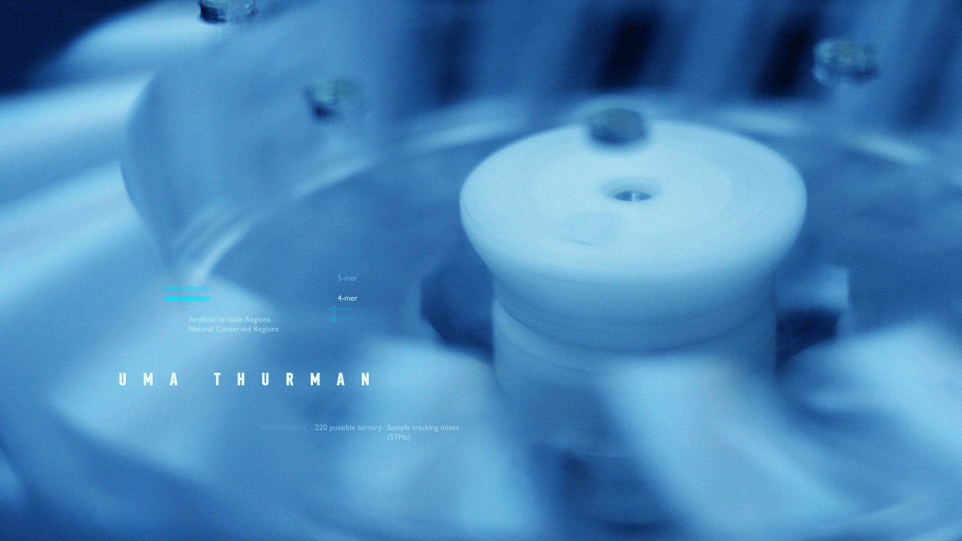 RoughCut (0;00;15;06).jpg