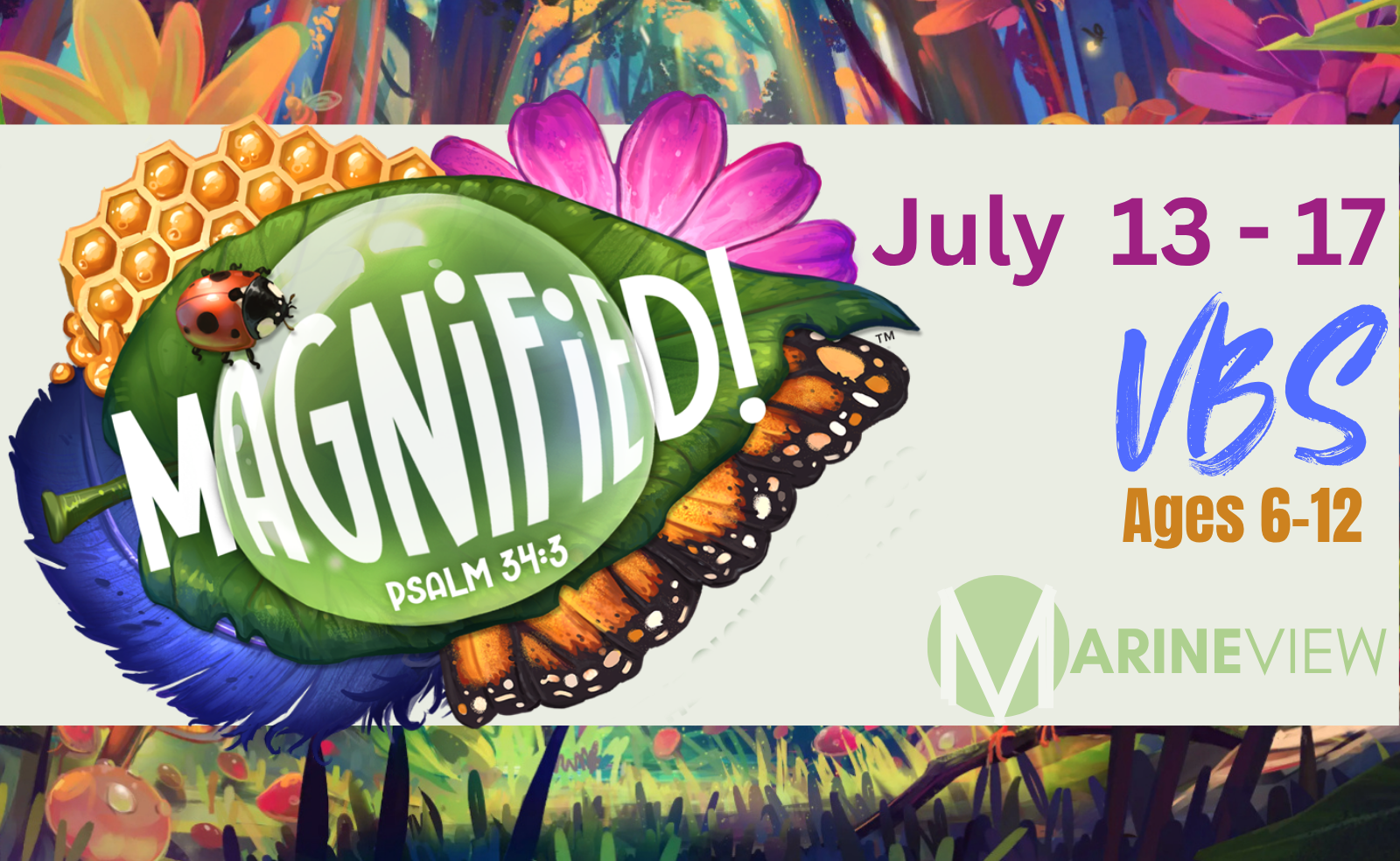 VBS: Magnified