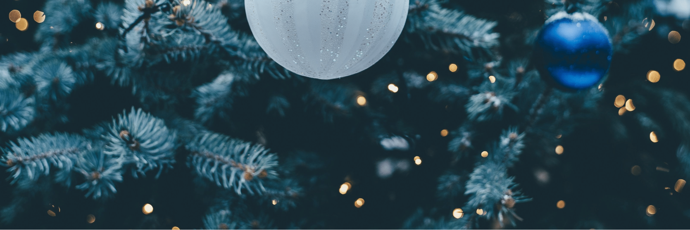 Christmas Calendar website.png