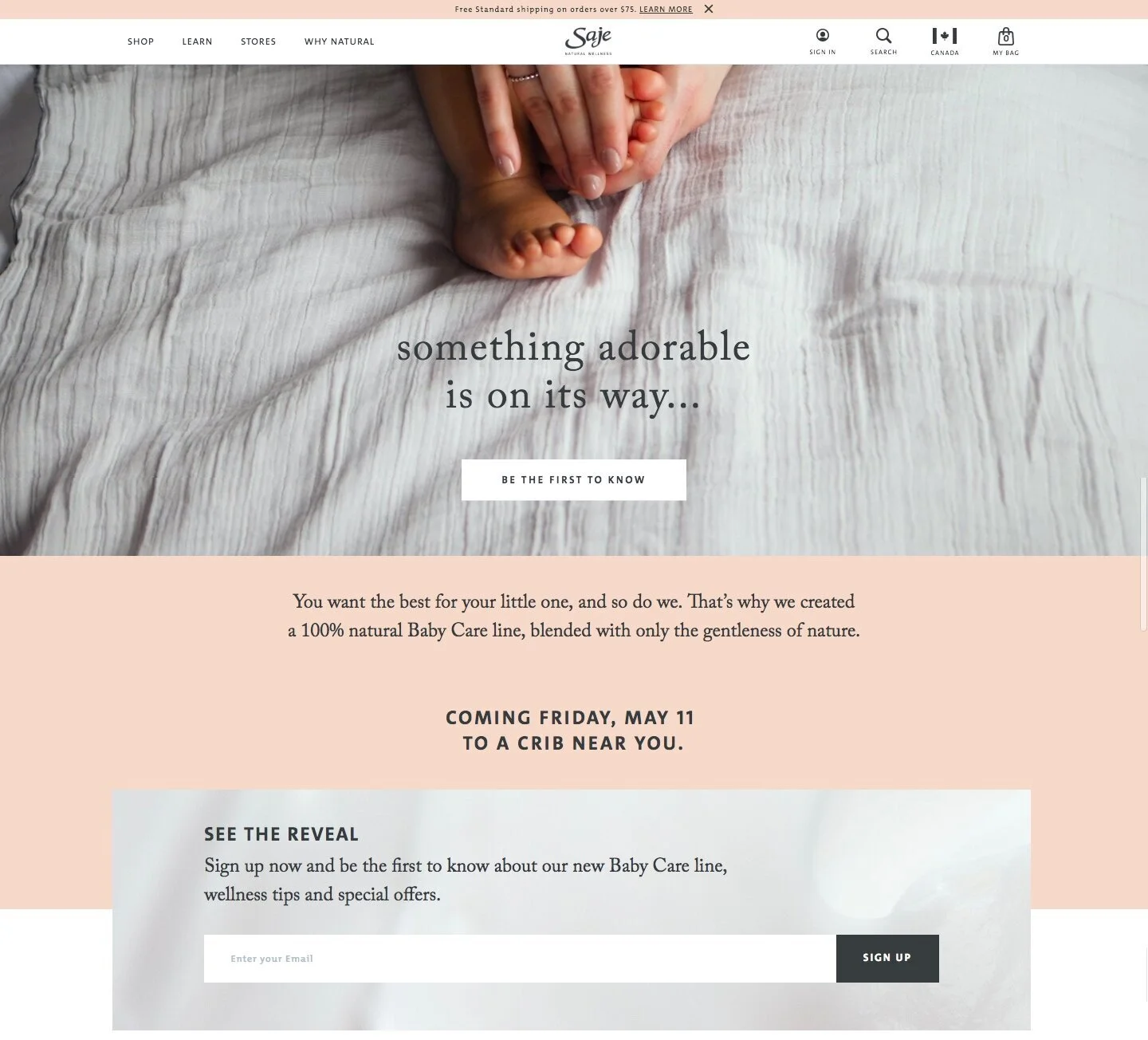 2018-saje-baby-teaser-desktop.jpg