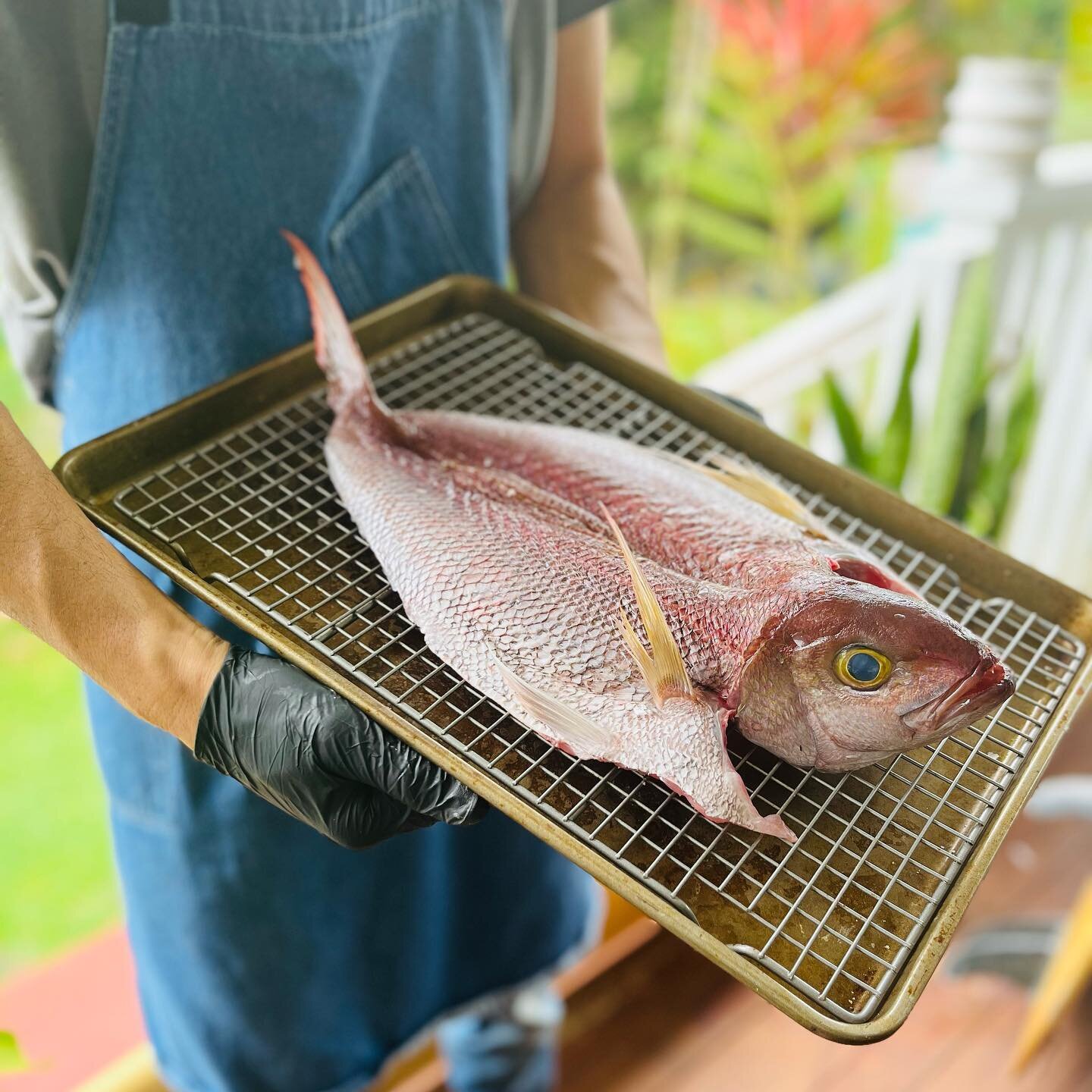 Getting this guy ready for the grill 🔥🔥🔥 What do you think - should I keep the head on for the client? #opakapaka #fishbutchery #freshcatch #privatechefhawaii