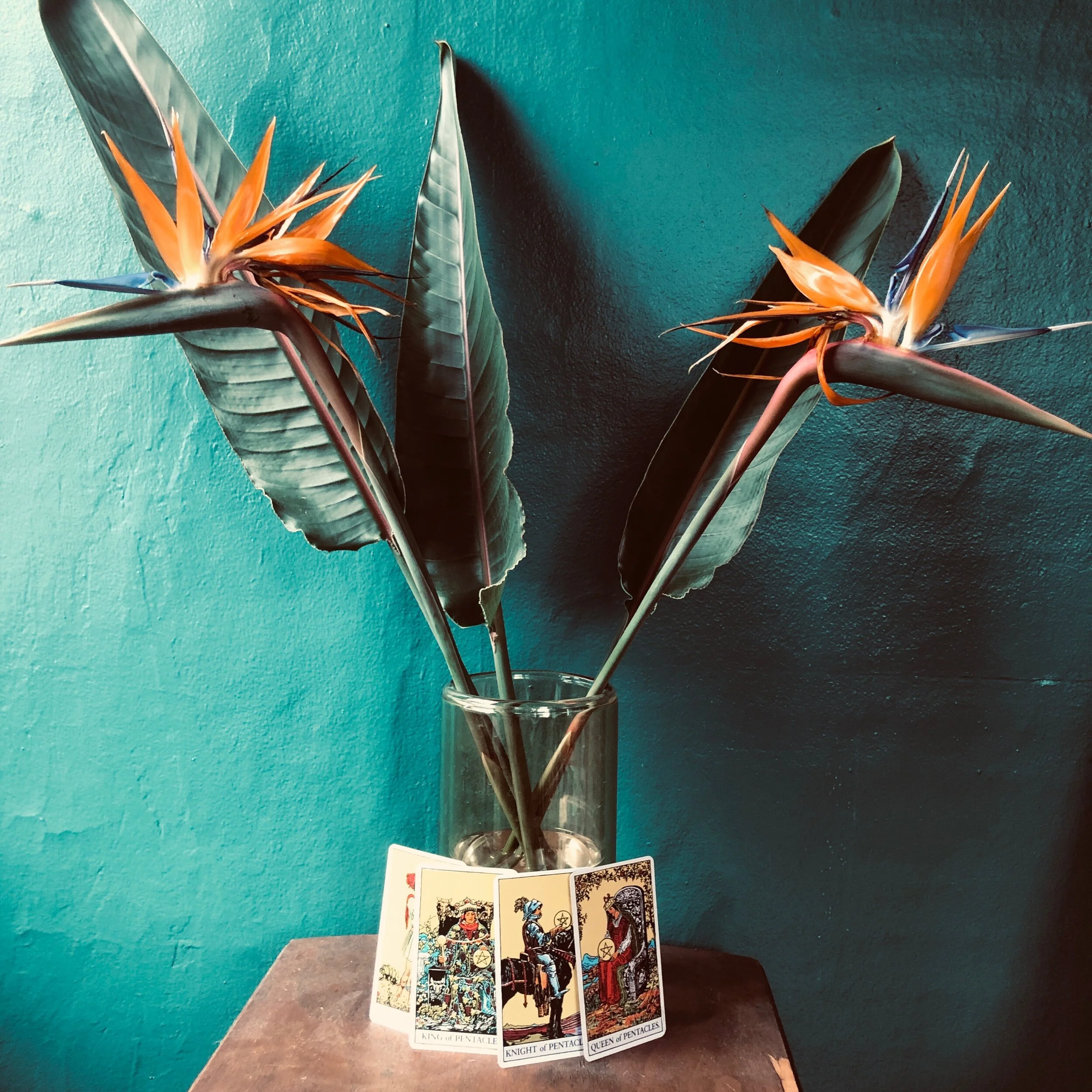 Archetypal Magic: Coins and the Court Cards