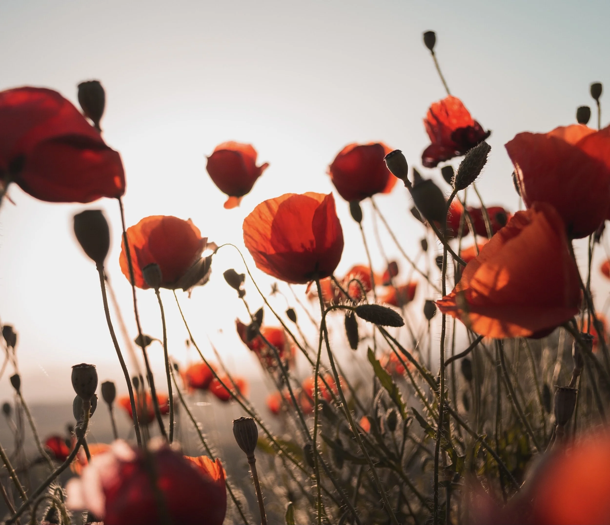 What Exactly Is a Somatic Practice?