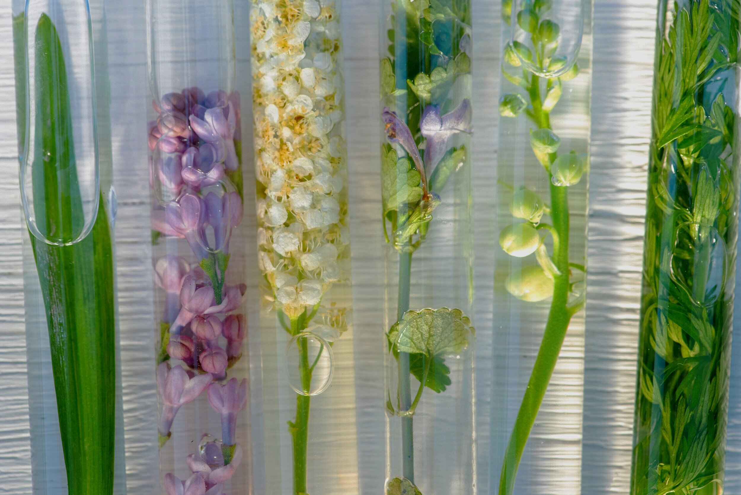 Acupuncture + IVF to Increase Success Rates Bloom Acupuncture