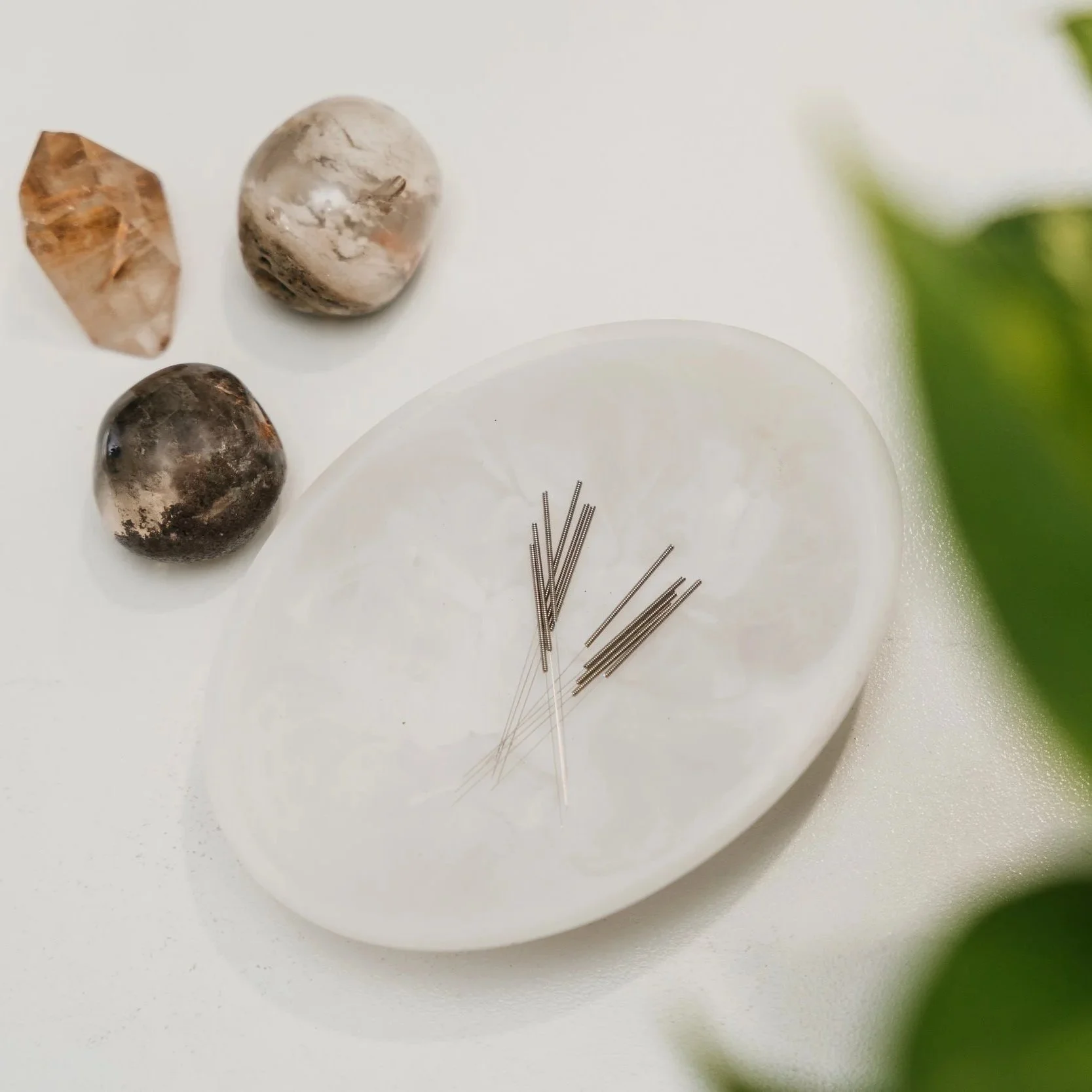 San-Diego-California-Brand-Photographer-Personal-Branding-Acupuncturist-2025-Mallory-Kessel-Photography-09055.jpg