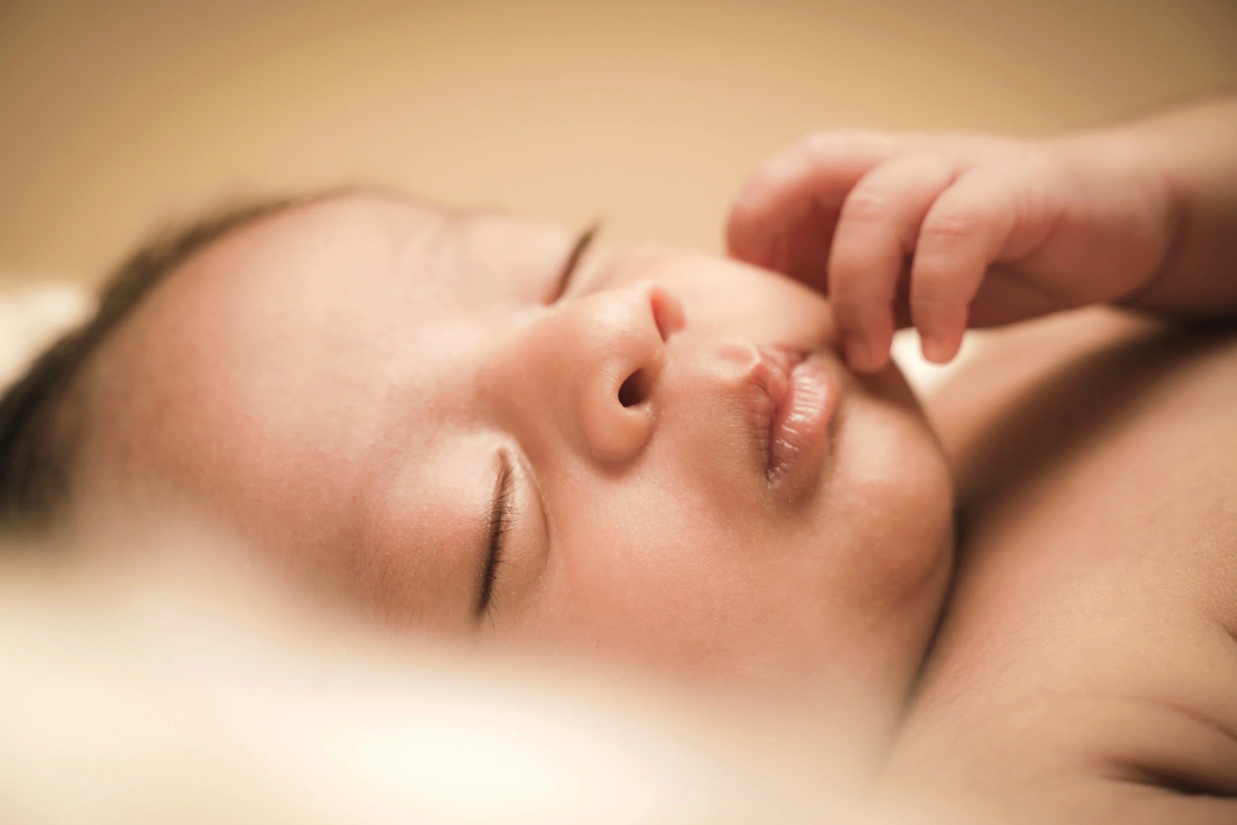Acupuncture &amp; IVF Success Rates: What the Research Actually Shows (And Why It Can Be So Confusing)
