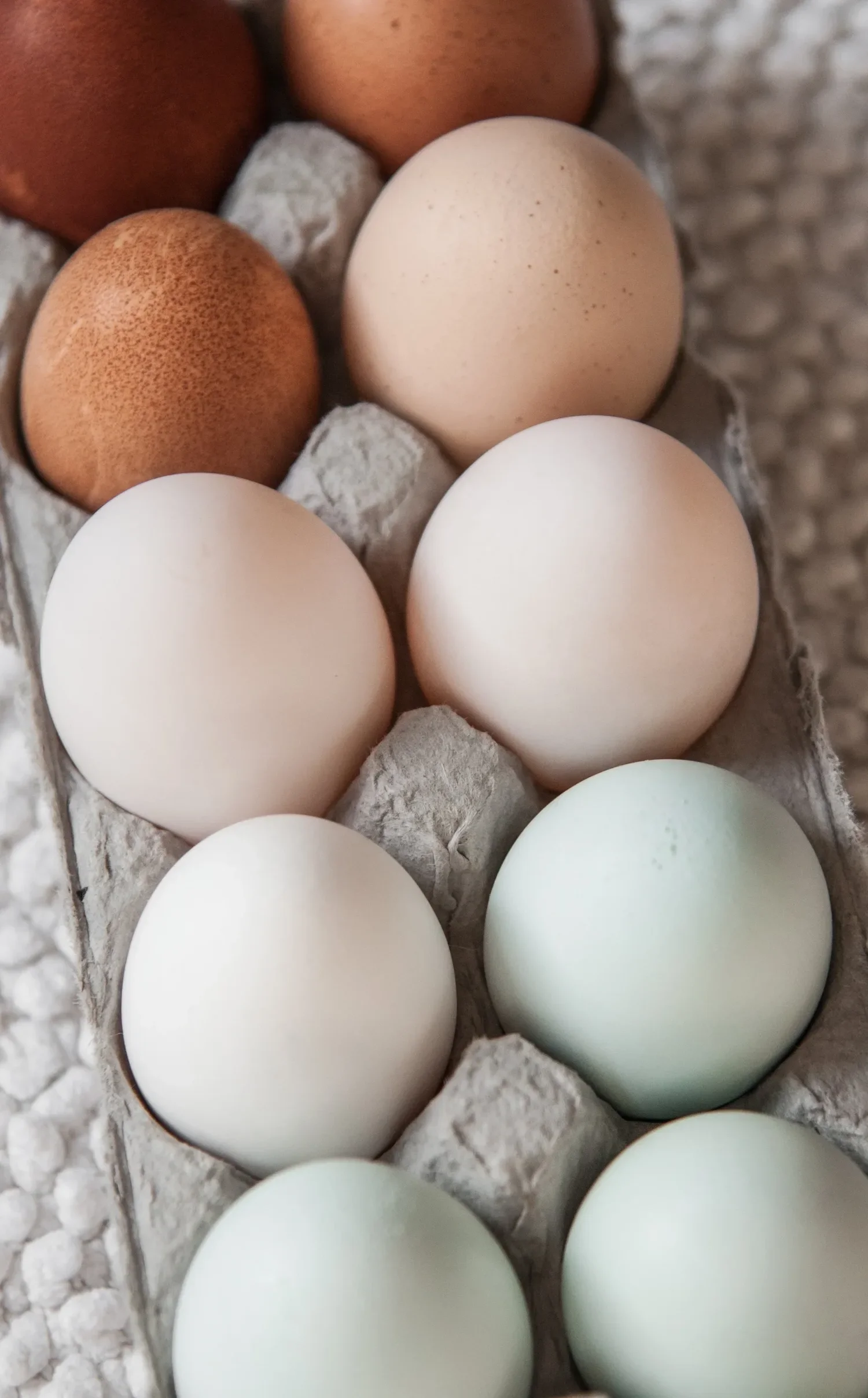 How Acupuncture Optimizes Fertility: From IVF Support to Egg Quality and Natural Conception