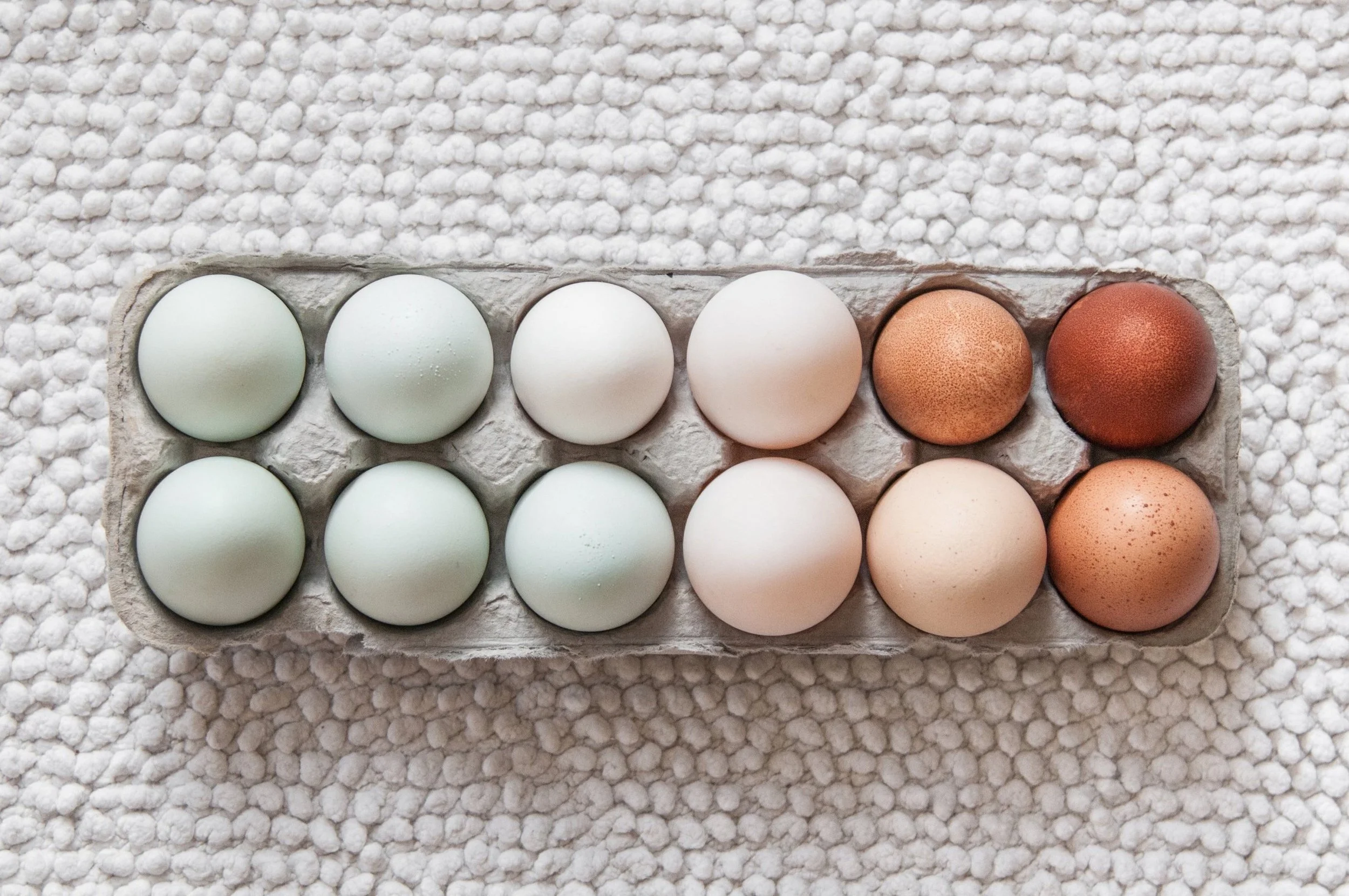 a dozen eggs of various colors ranging from white, to green, to tan, all in a carton and sitting on a textured white blanket