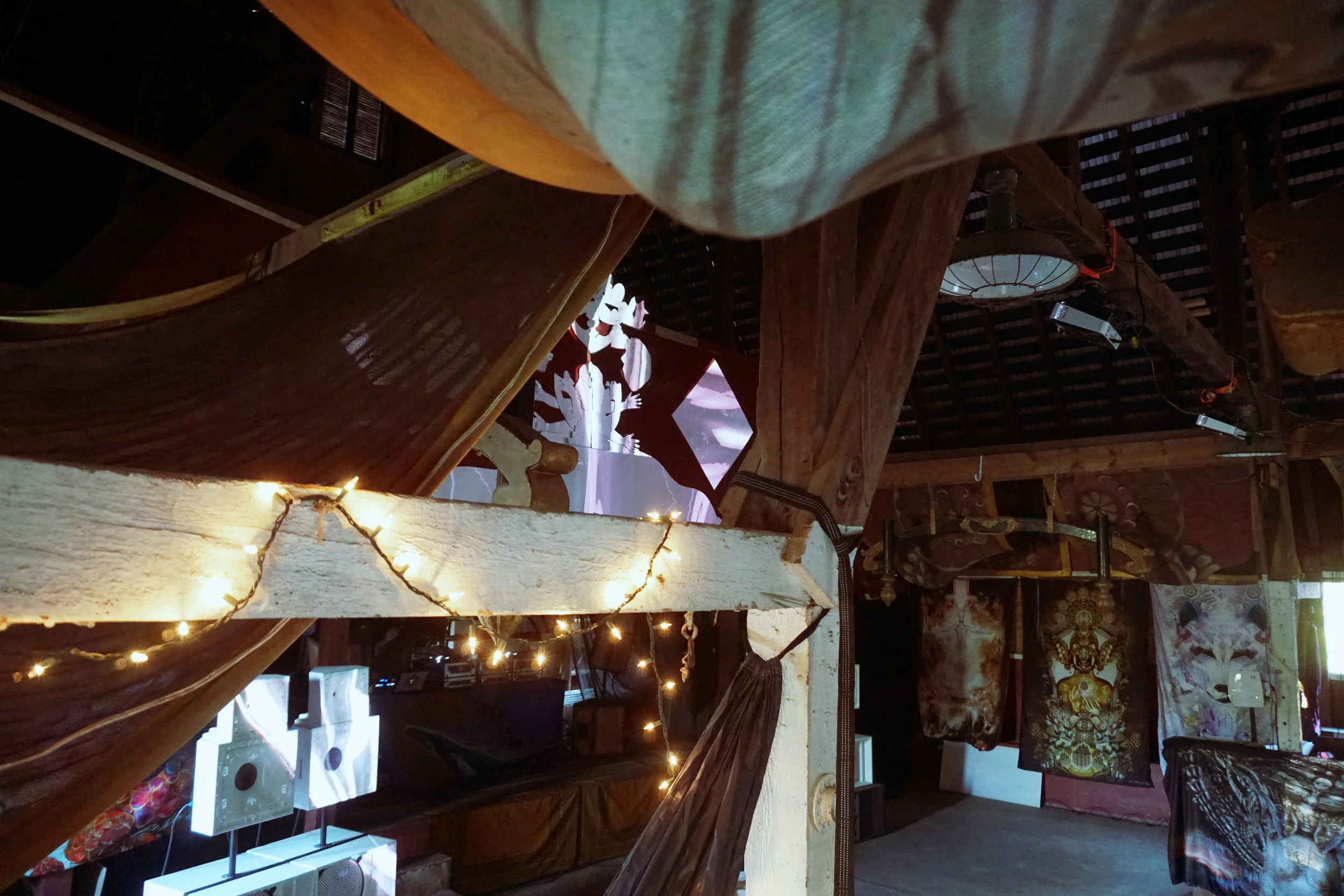 DSC01603.jpg