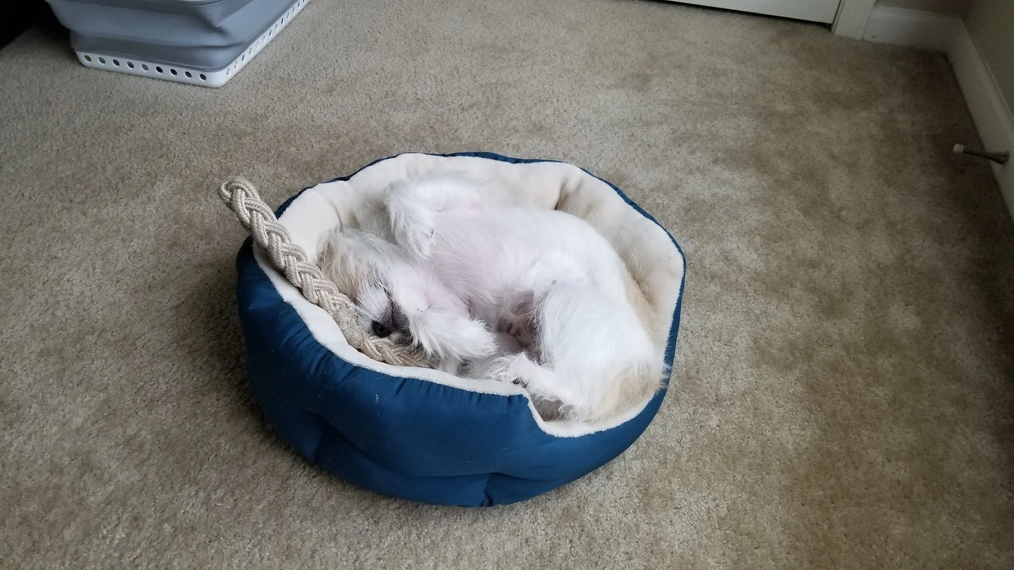 flash-upside-down.jpg