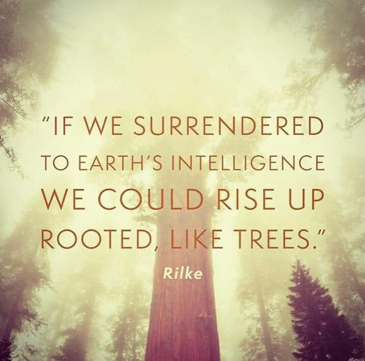 We would rise up rooted, like trees.jpg
