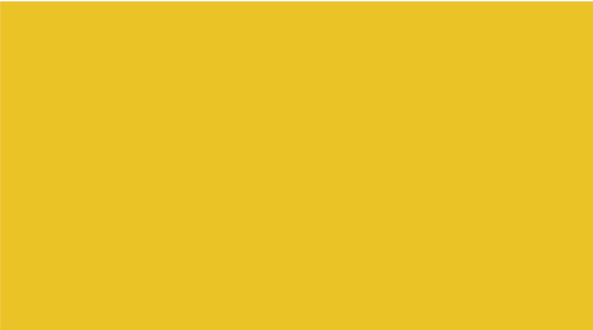 yellow bg.png