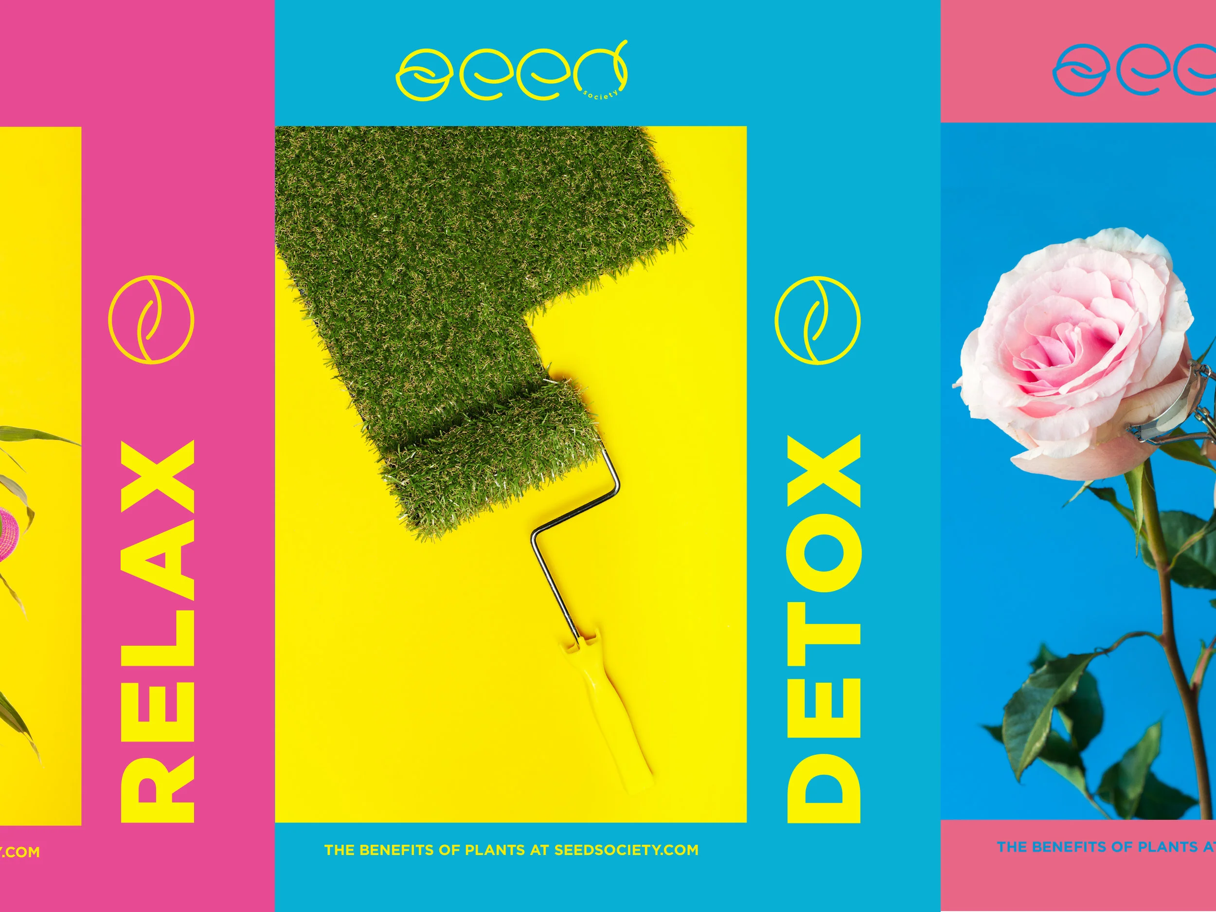 seedposters.jpg