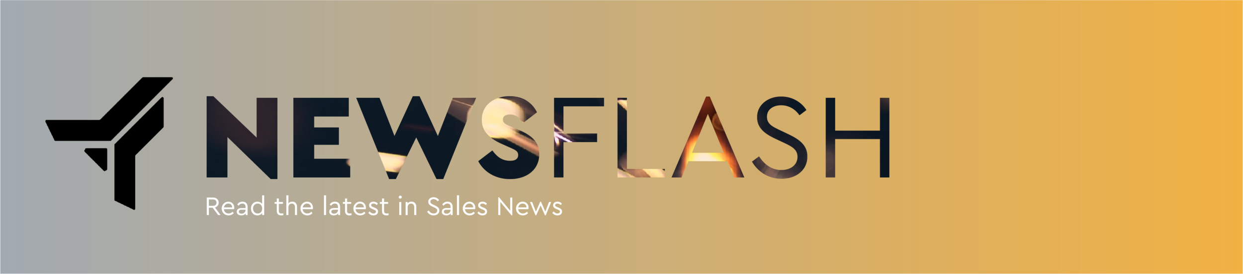 newsflash-banner.png