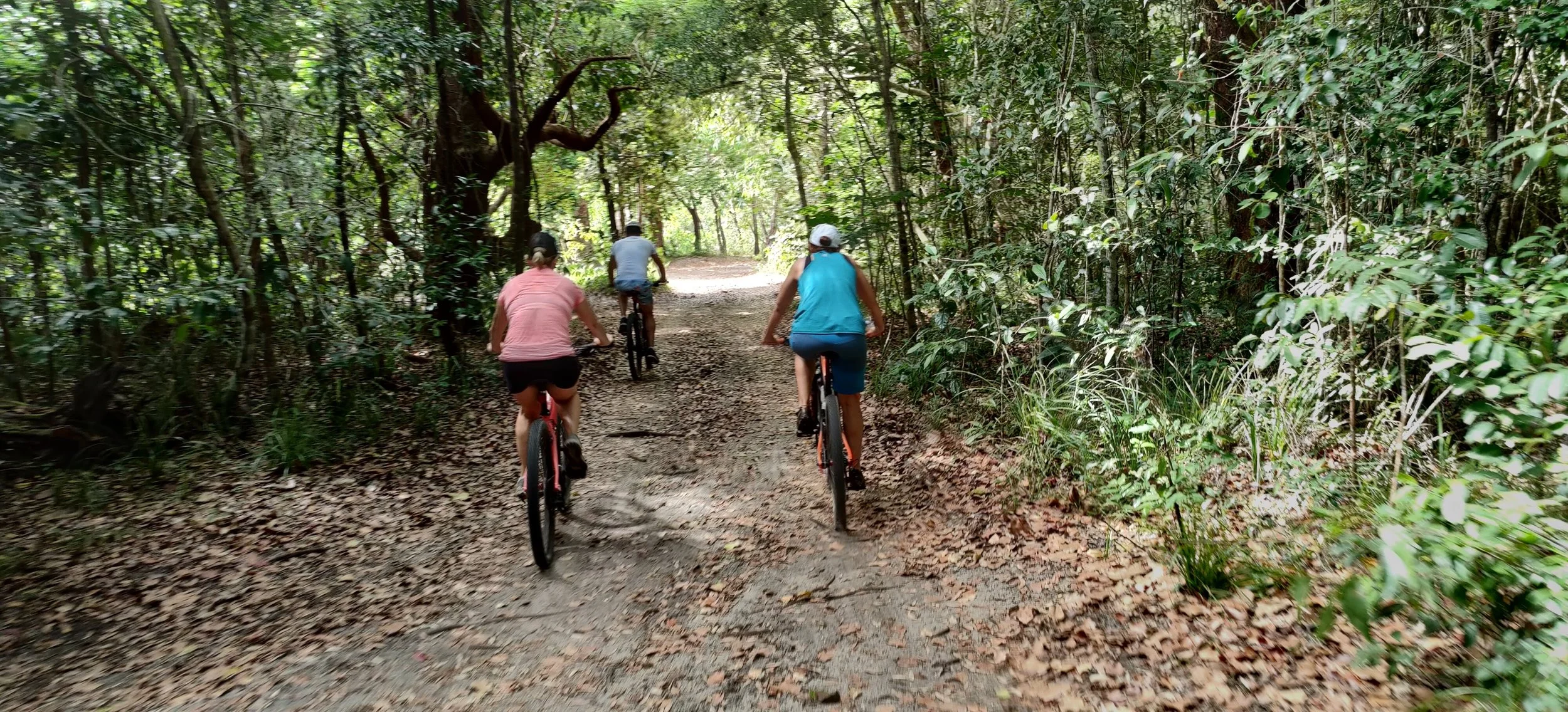 Self Guided MTB — BIKE SHOP AND HIRE