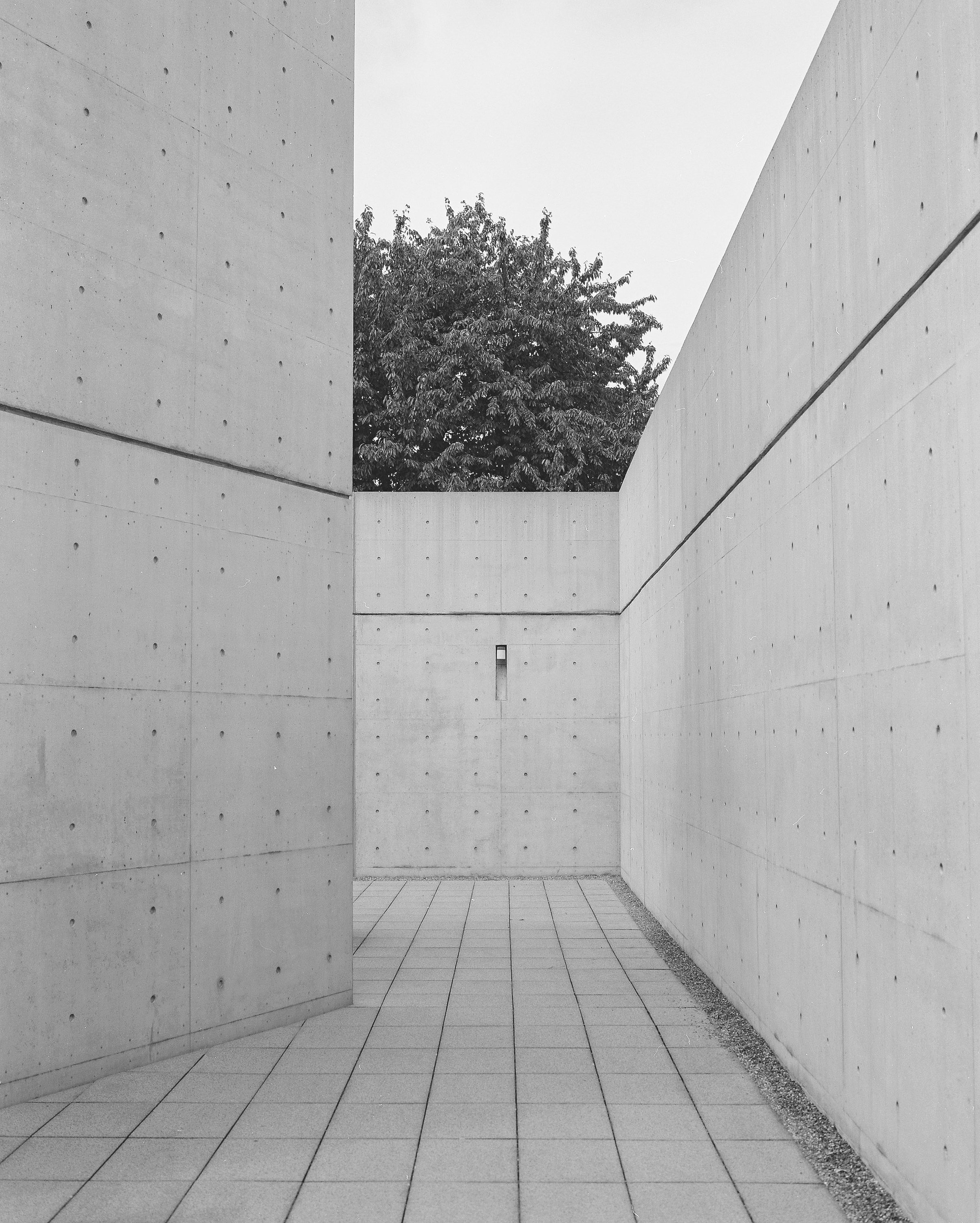  Conference Pavillion  Architect: Tadao Ando  Vitra Campus, Weil am Rhein, Germany. 