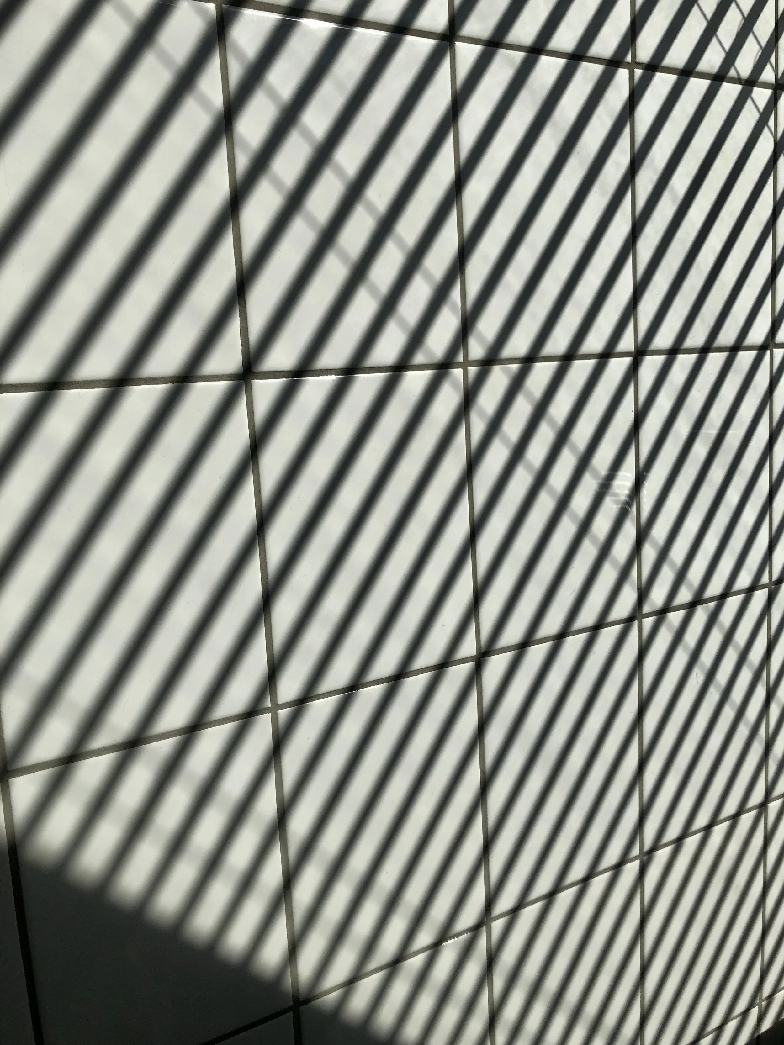 flexions &amp; Reflexions