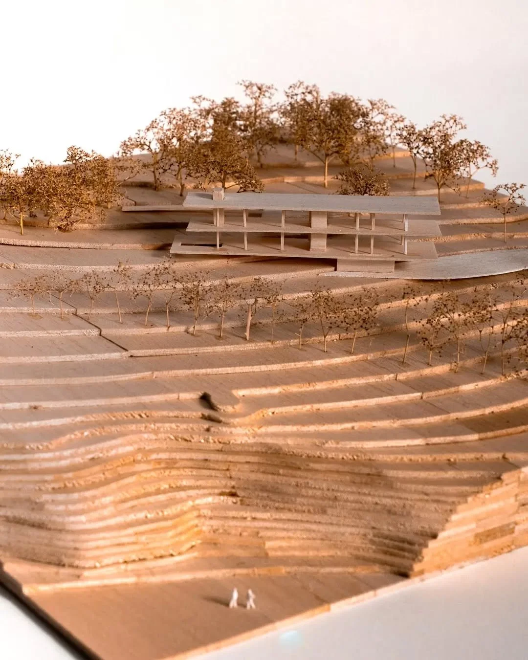 Unique sites call for a unique design response.

Coastal architecture demands more than a great view, it calls for resilience, simplicity, and a connection to place. 

Embracing natural light, cross-ventilation, and materials that endure in the coast