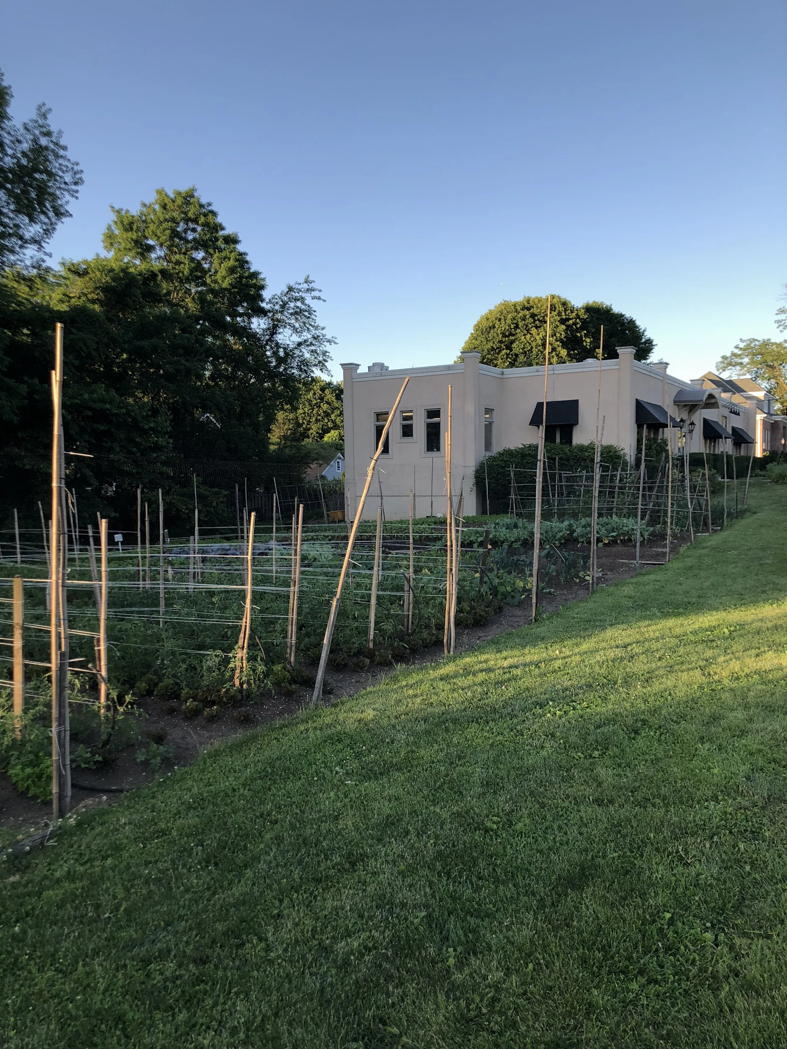 Apple Street Kitchen Farm to Table Restaurant