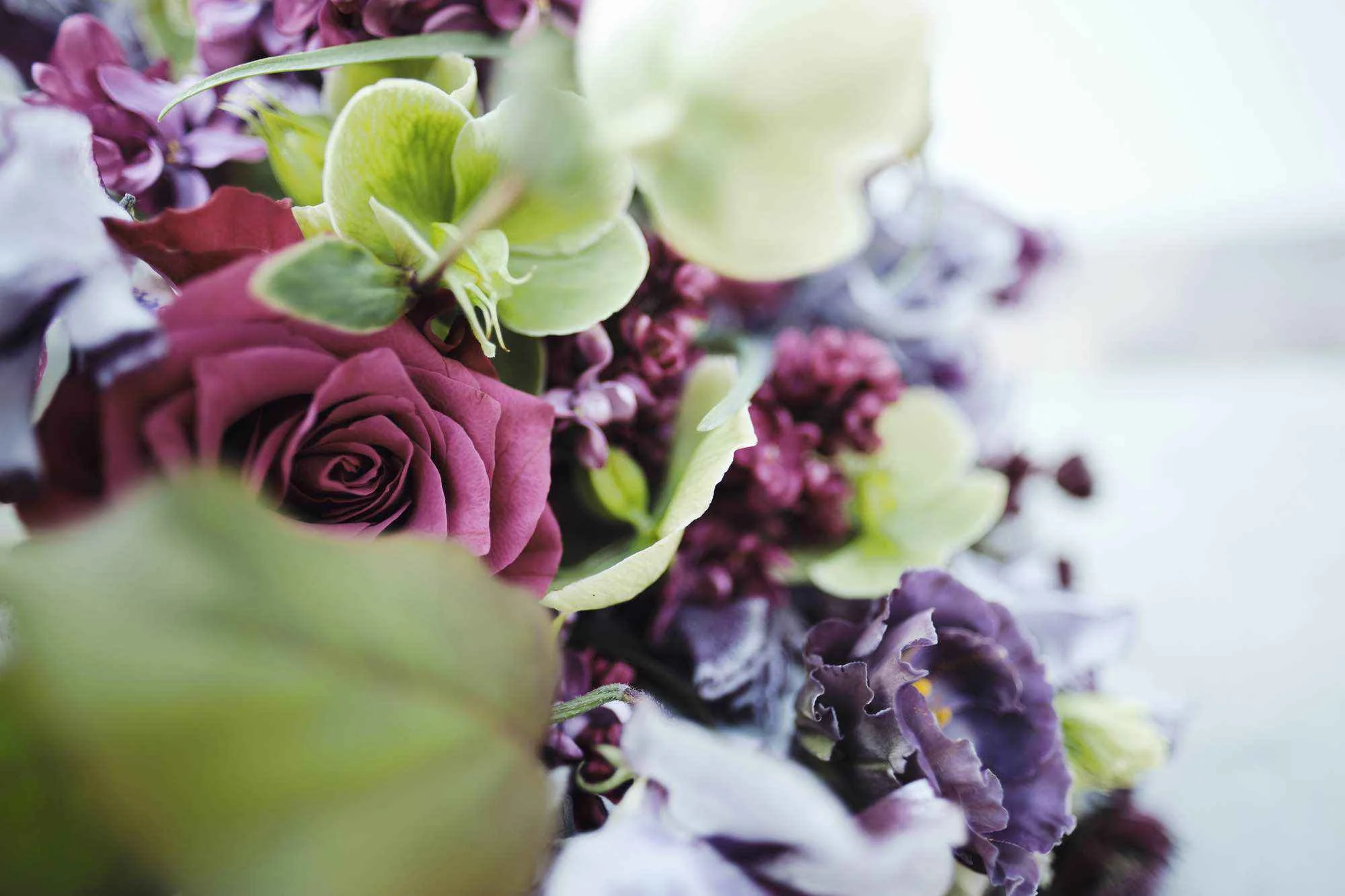 Emma Walker Flowers4.jpg