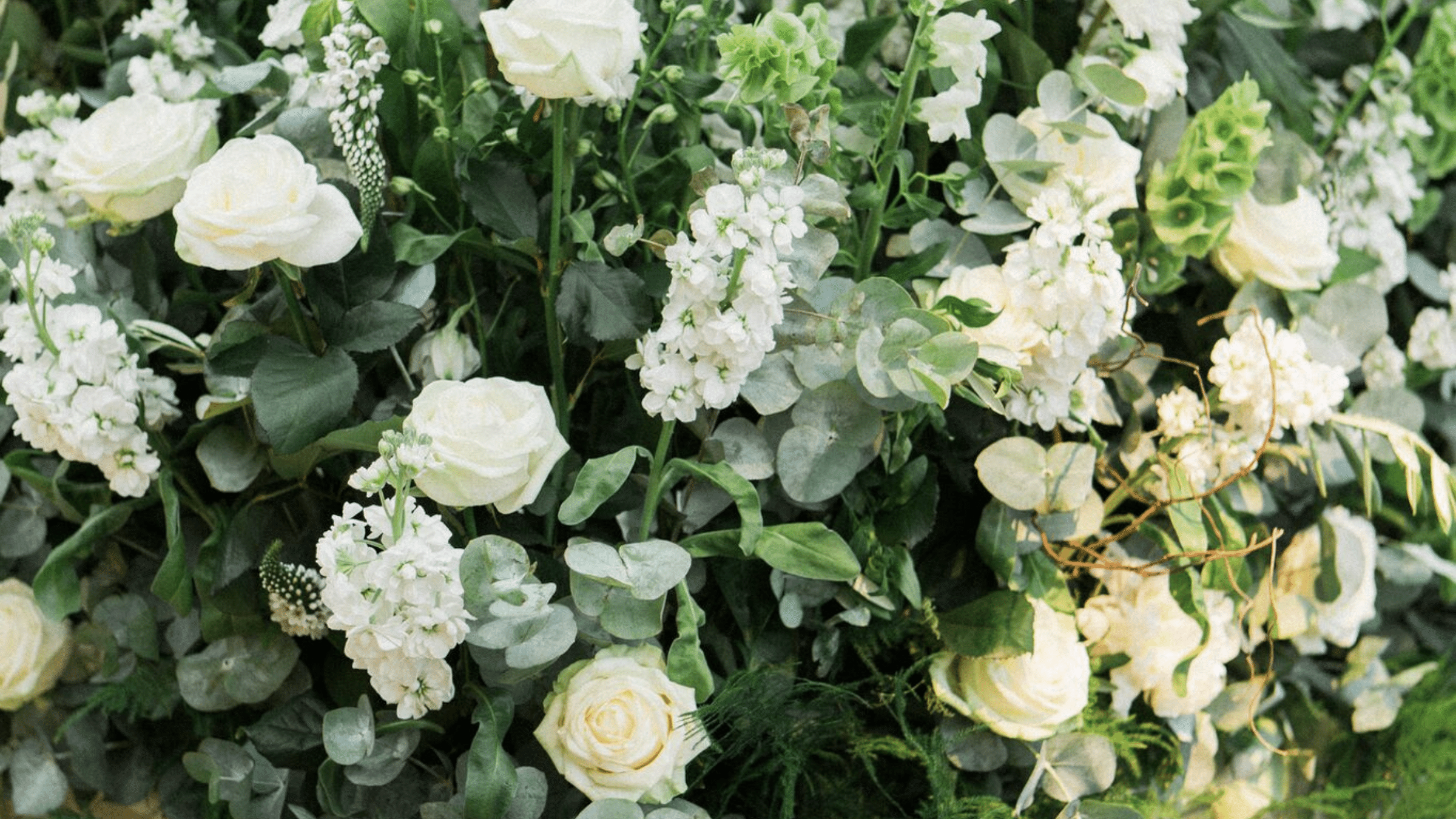 Emma Walker Flowers19.png