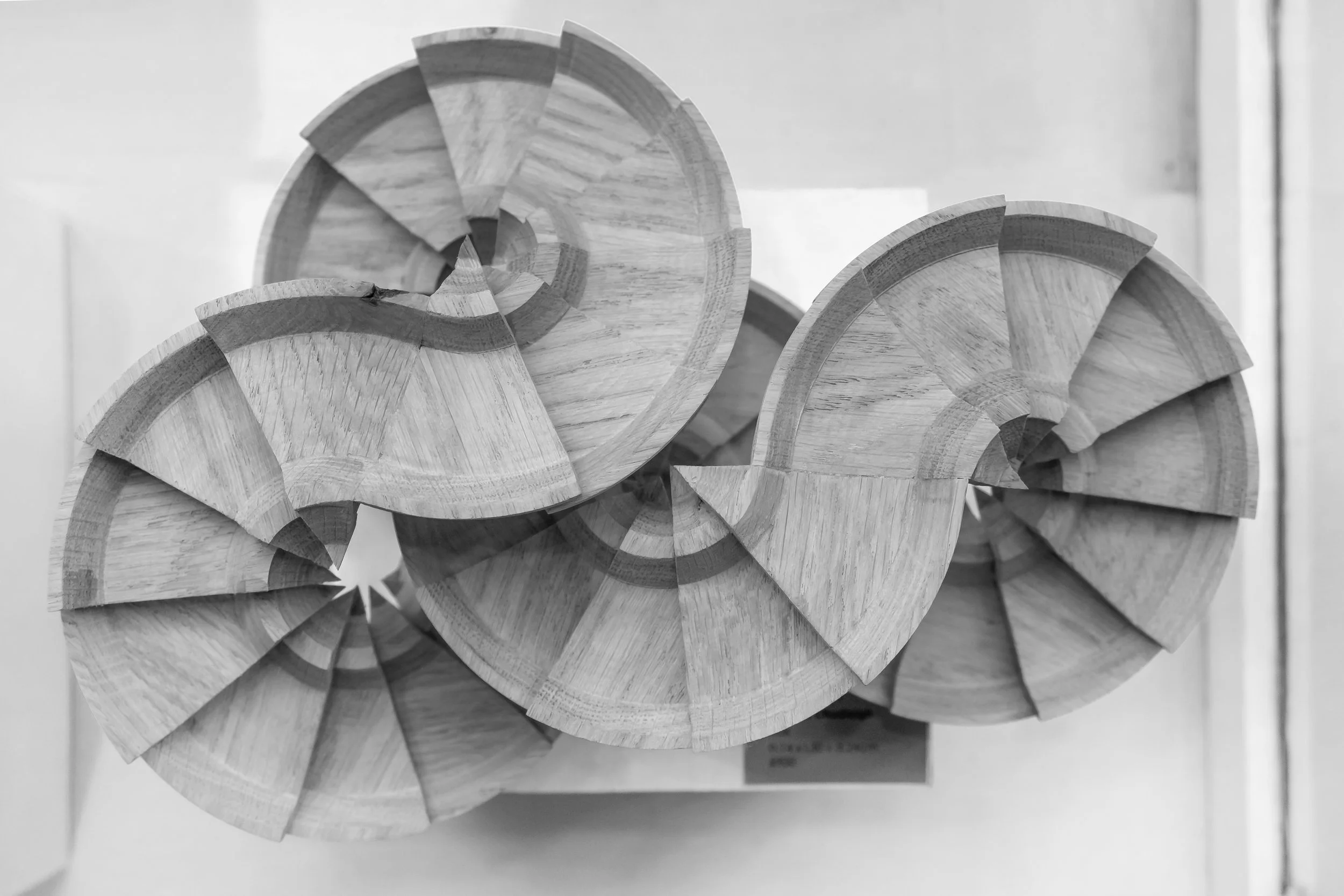 Ed's Sculpture Lge b&w.jpg