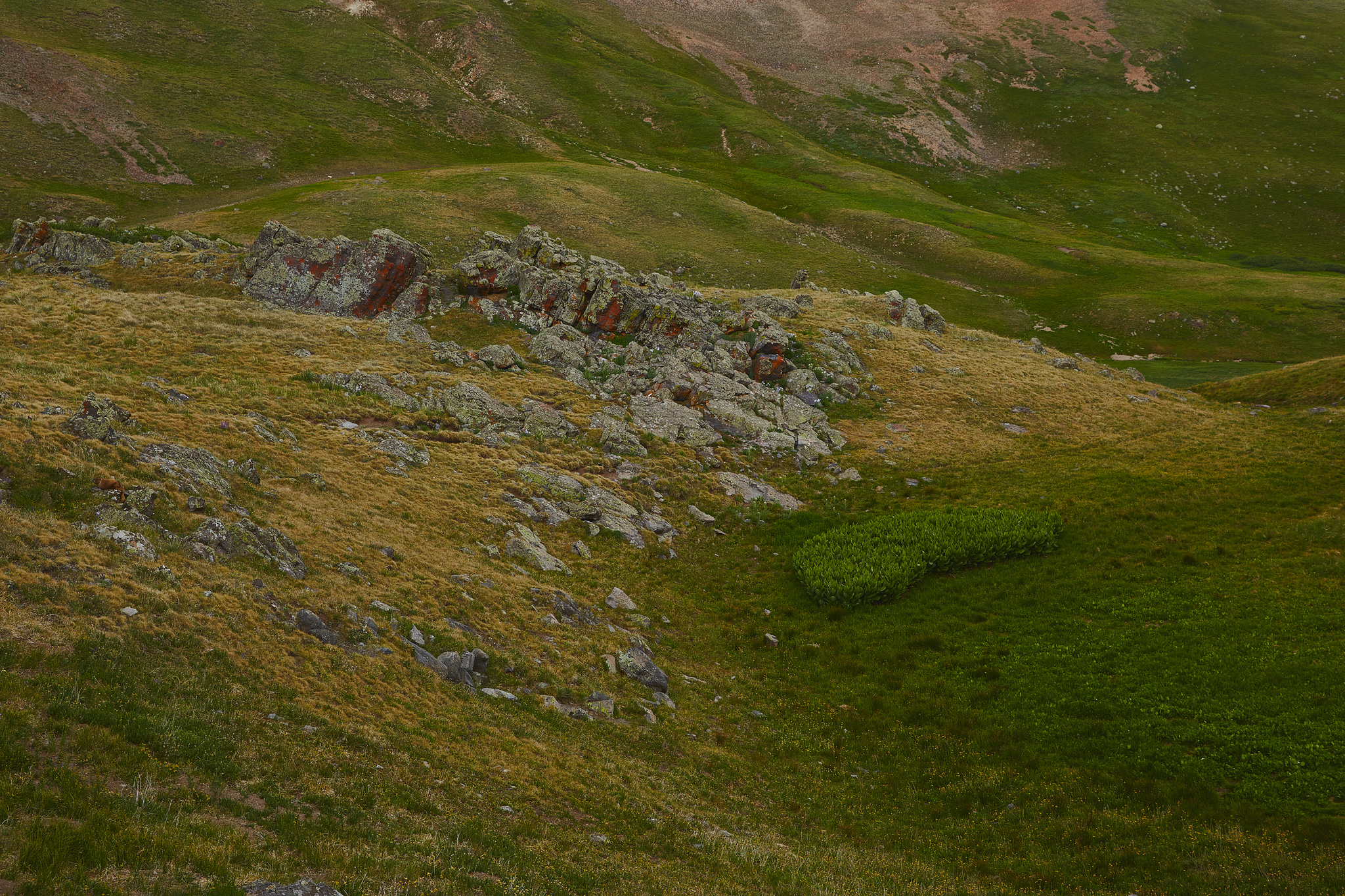 Colorado_Trail_0751.jpg