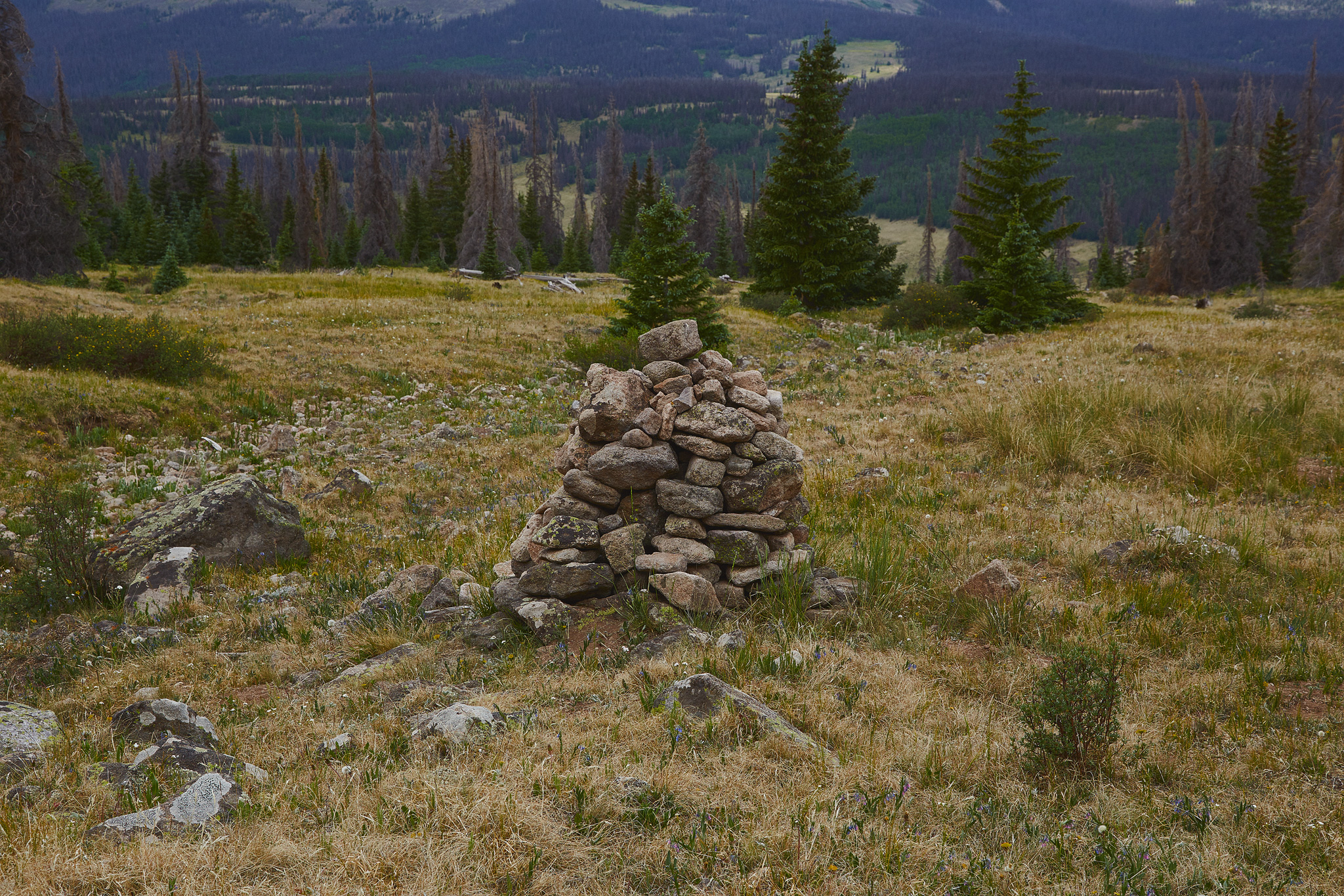 Colorado_Trail_0345.jpg