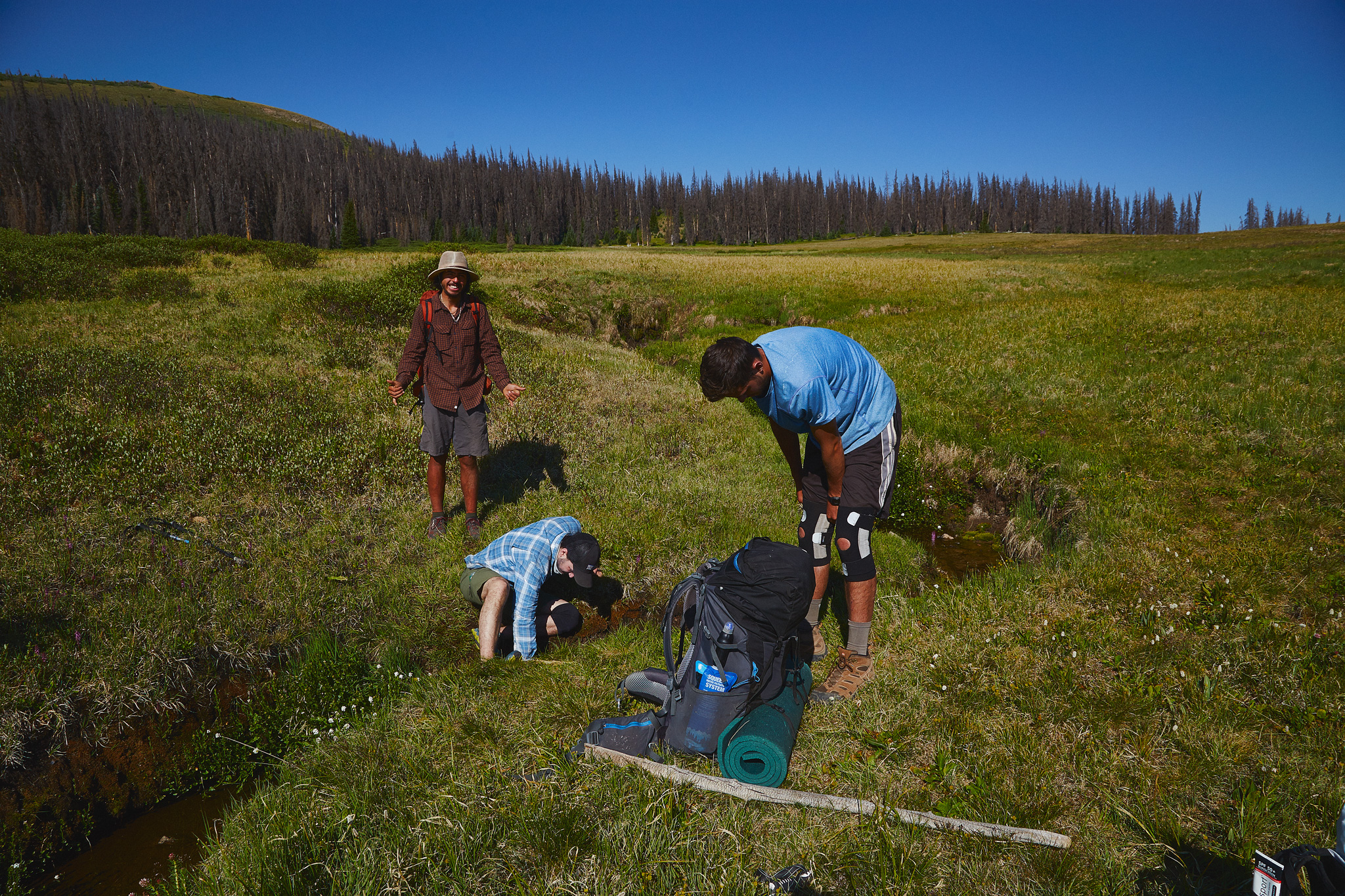 Colorado_Trail_0391.jpg