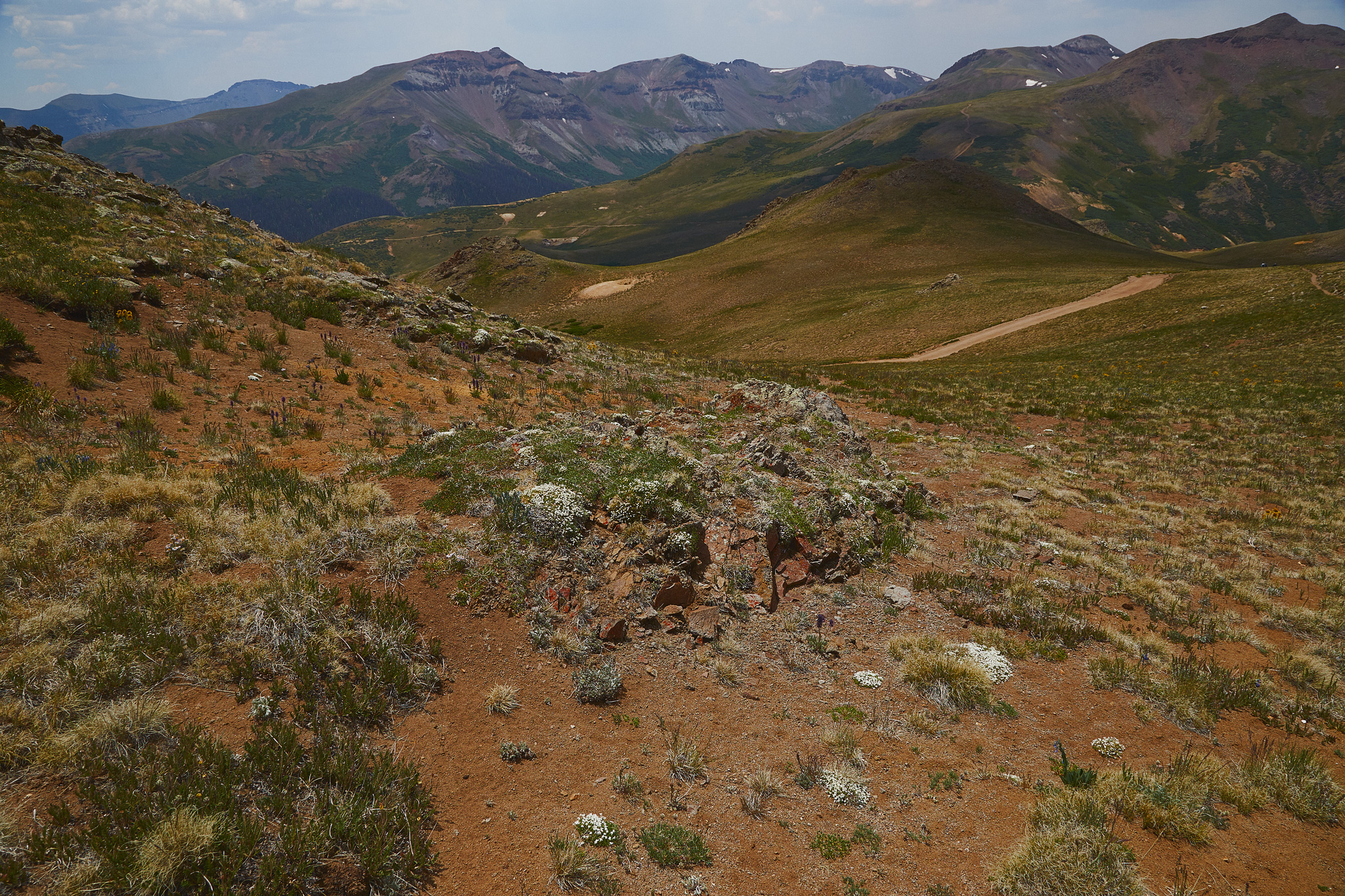 Colorado_Trail_0413.jpg