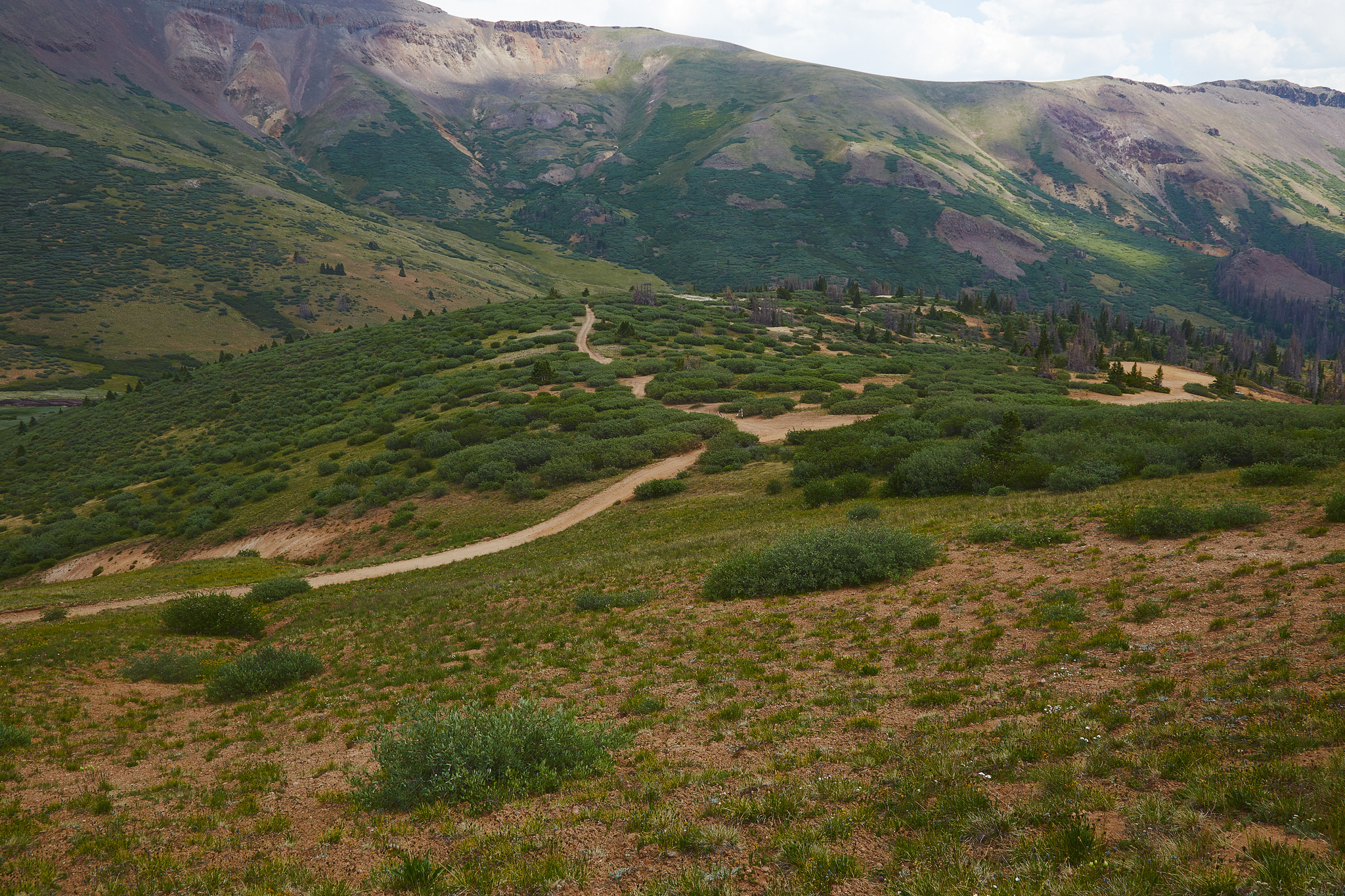 Colorado_Trail_0457.jpg