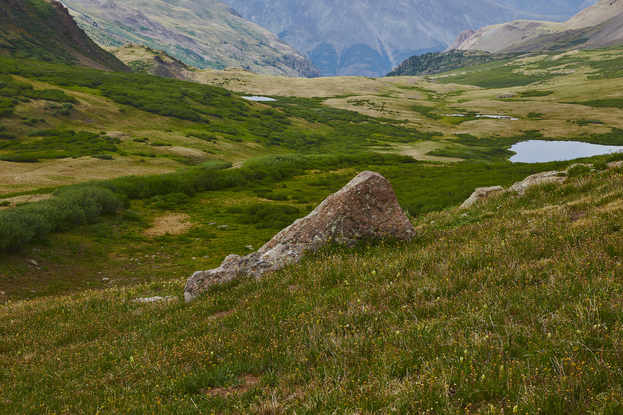 Colorado_Trail_0532.jpg