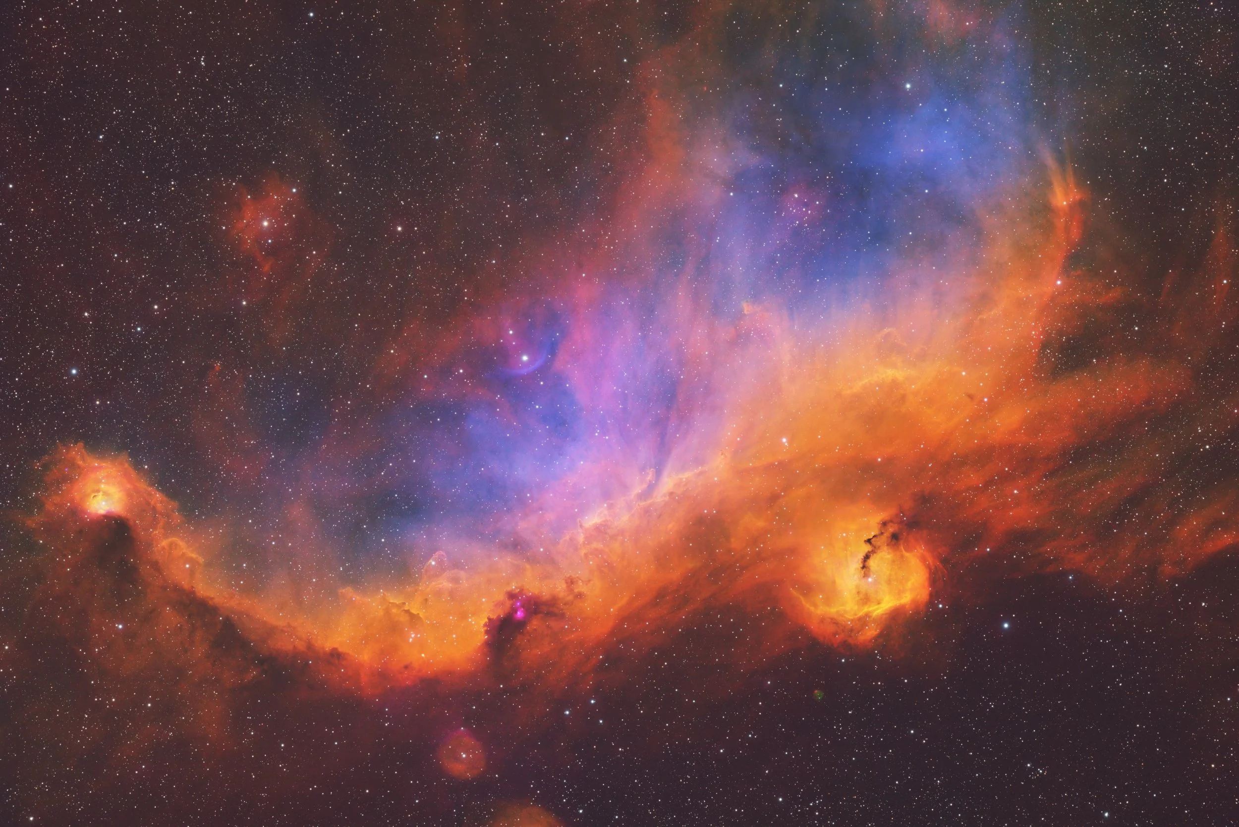 Seagull Nebula in SHO palette