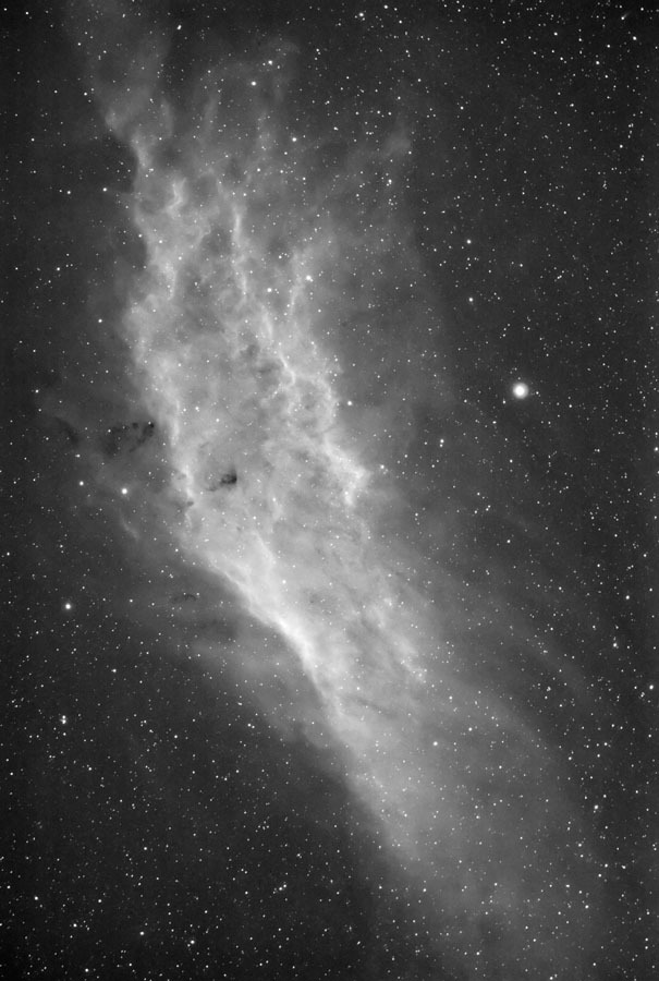 California Nebula 