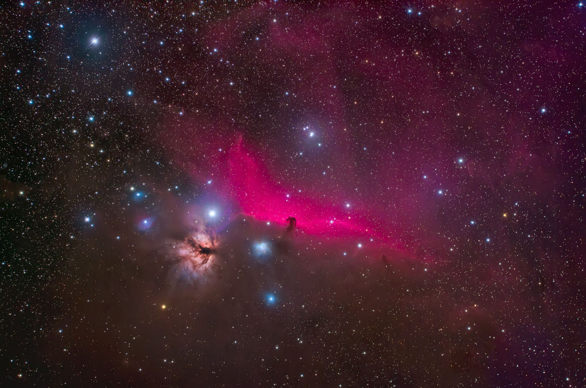 Horsehead Nebula from Winter Star Party 2010