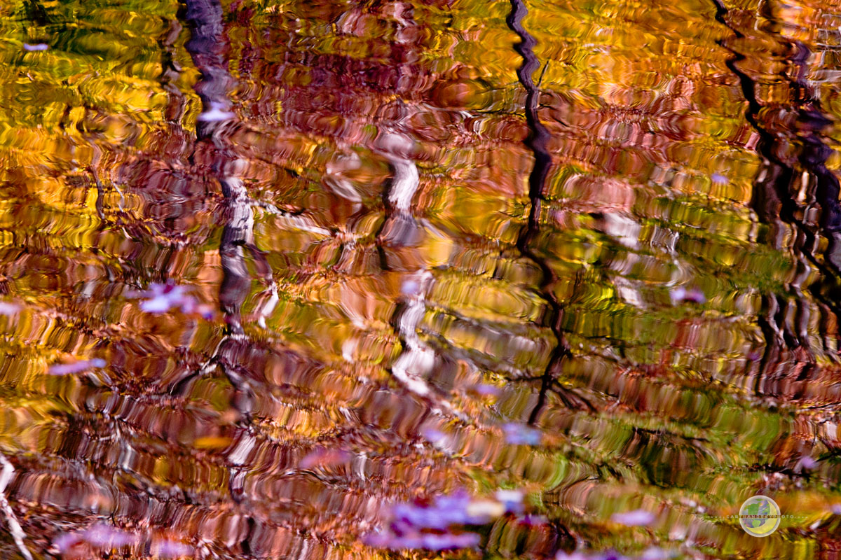 Autumn Reflections