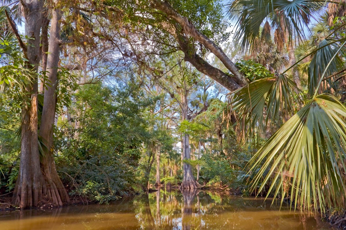 Loxahatchee River