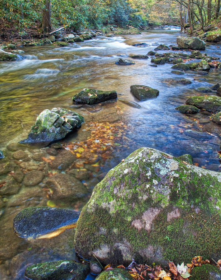 Rock in Middle Prong of Little River