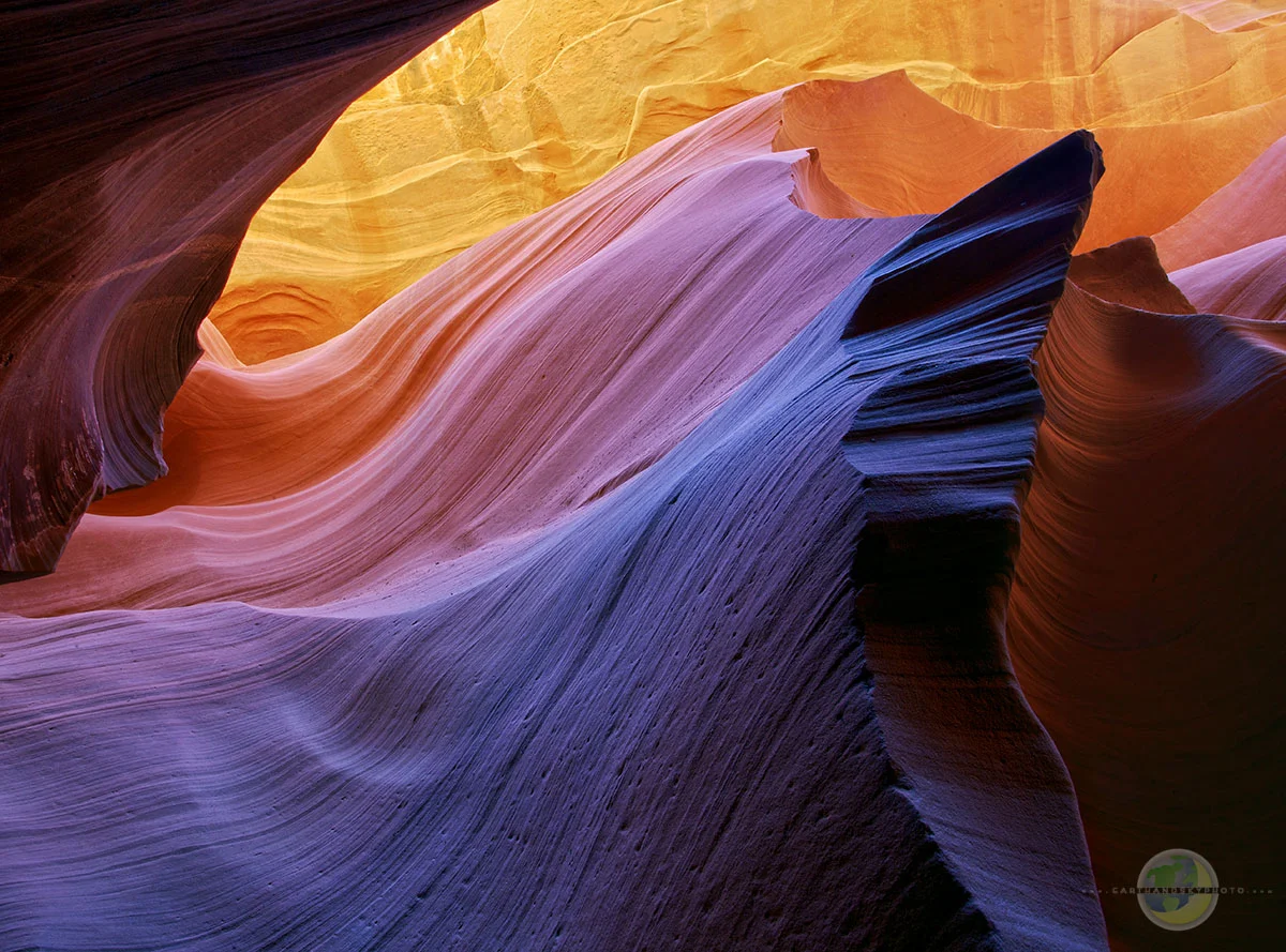 The Wave