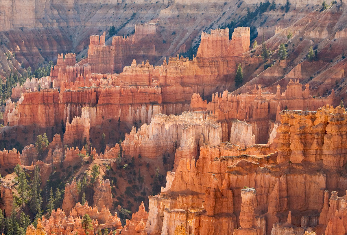 Bryce Canyon Light